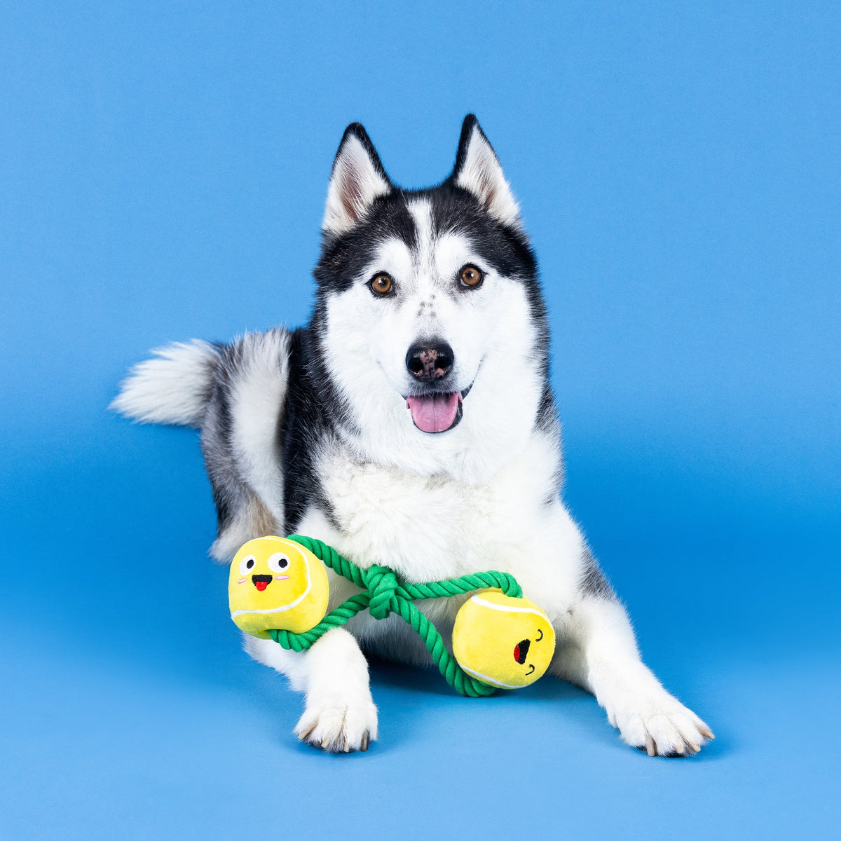 Wagsdale Game, Set, Match Plush Dog Toy With Rope