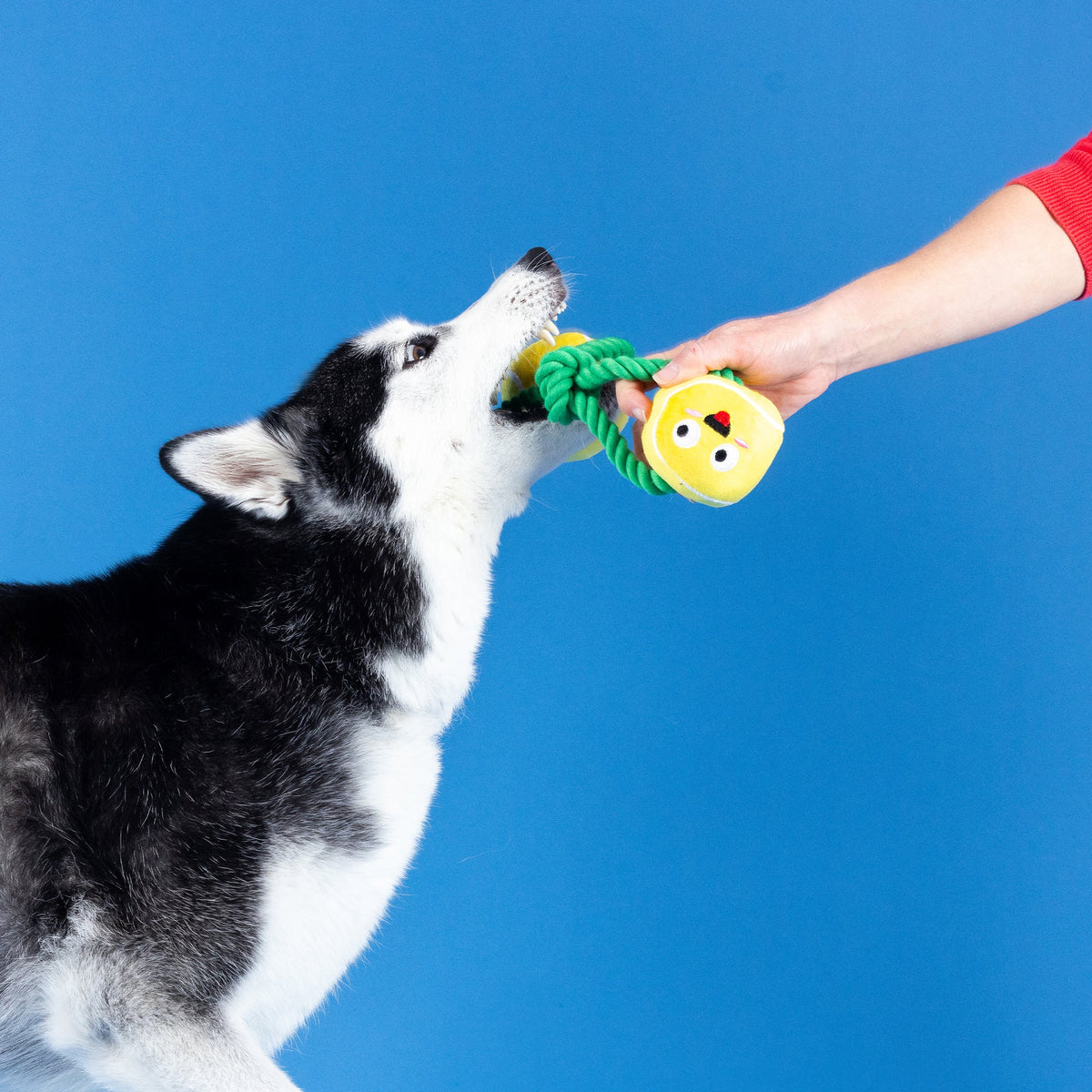 Wagsdale Game, Set, Match Plush Dog Toy With Rope