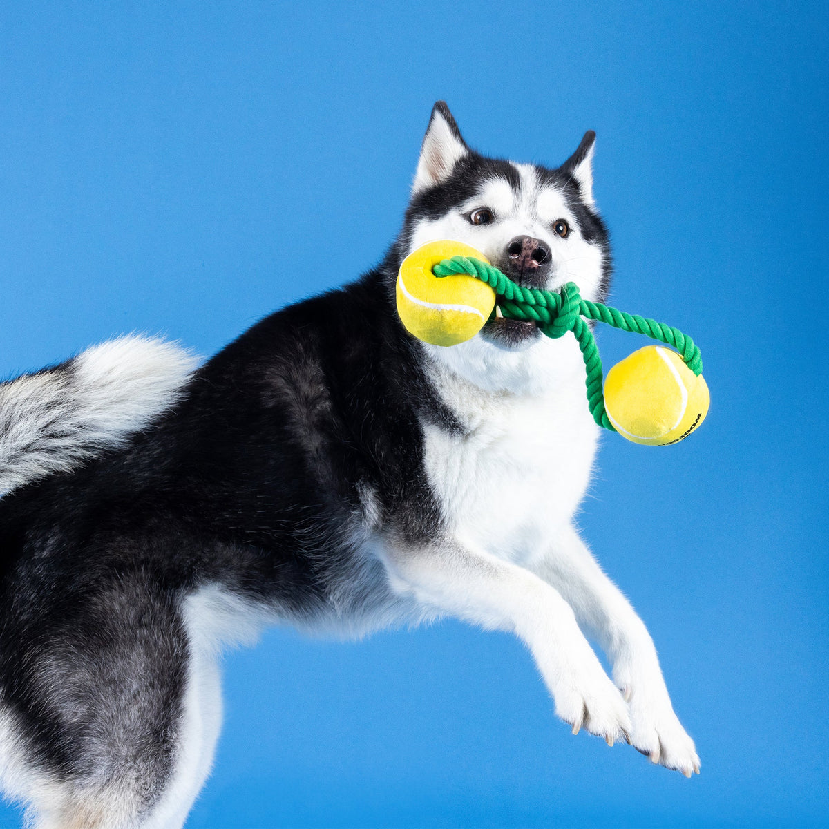 Wagsdale Game, Set, Match Plush Dog Toy With Rope