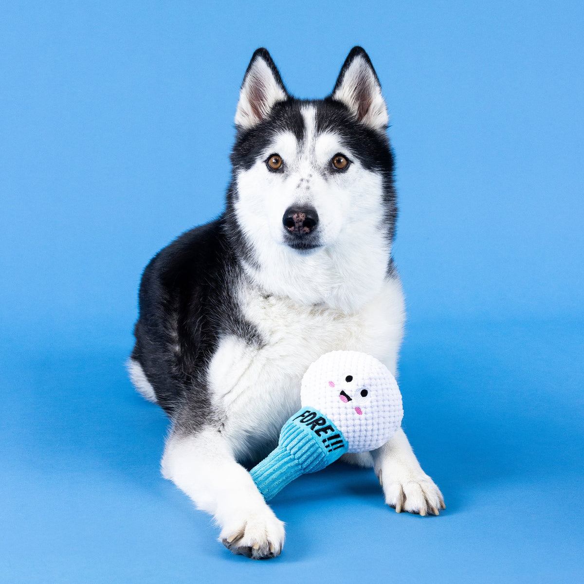 Wagsdale Today Is Tee-Riffic Dog Toy