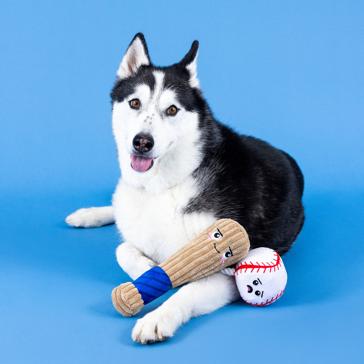 Wagsdale Batter Up Plush Dog Toy