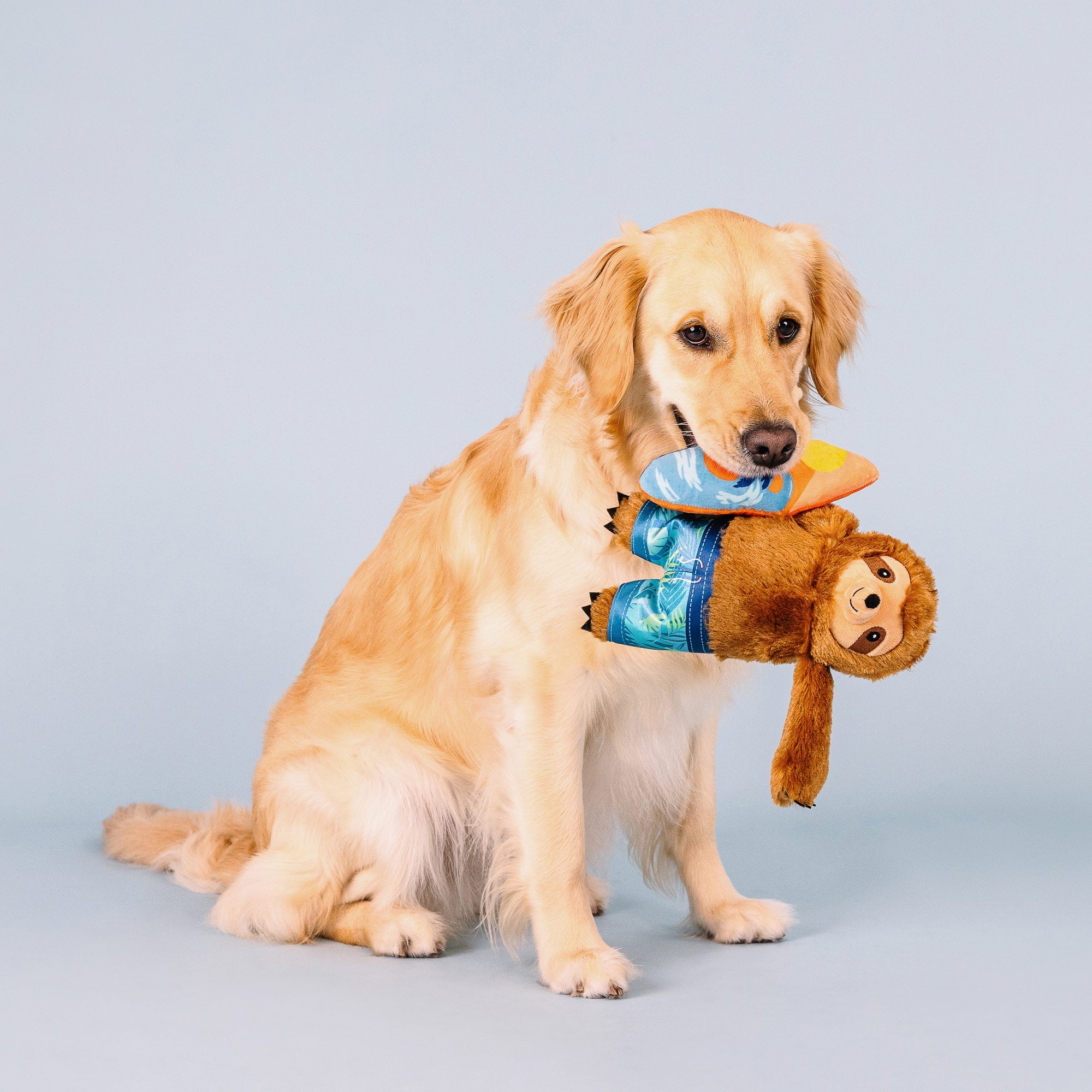 Makin' Waves Plush Dog Toy