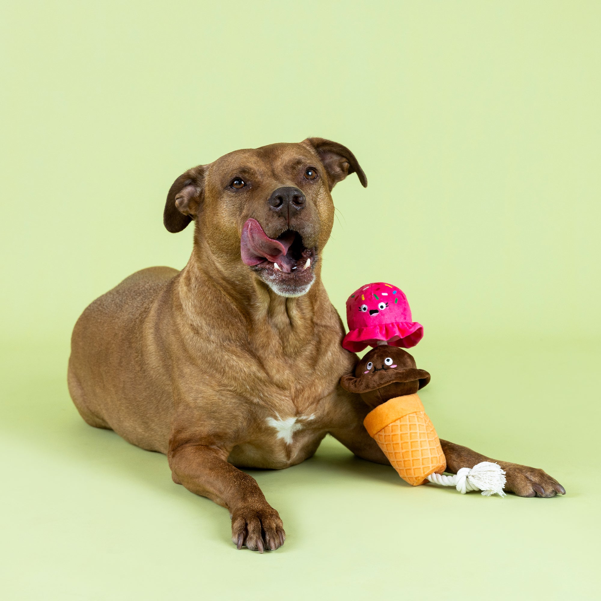 Losing Cone-Trol Plush Dog Toy With Rope