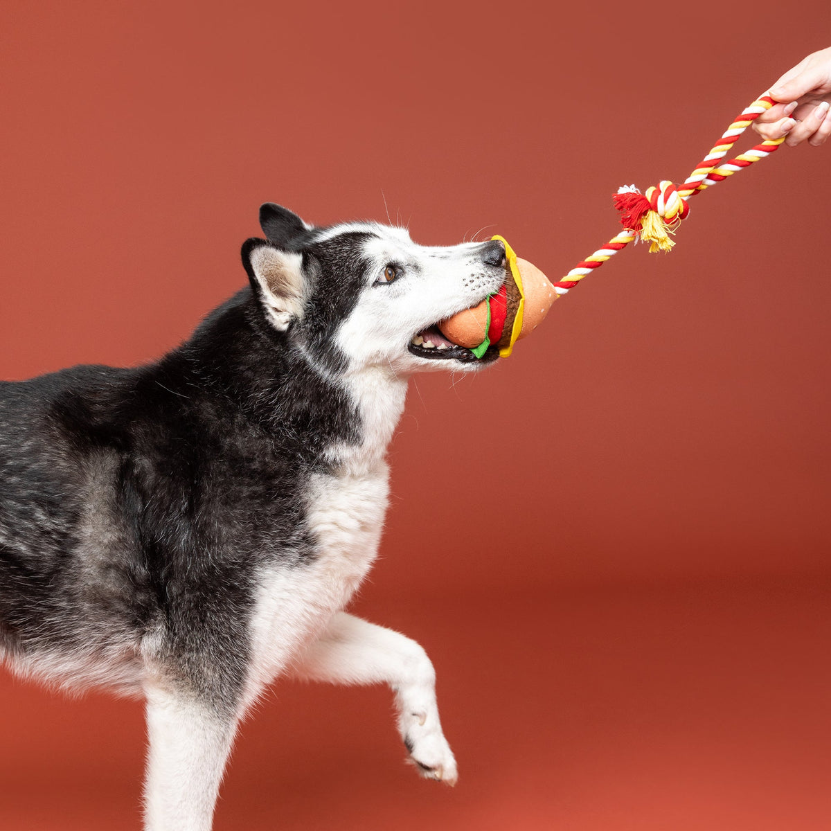 You'Re The Bun That I Want Rope Dog Toy