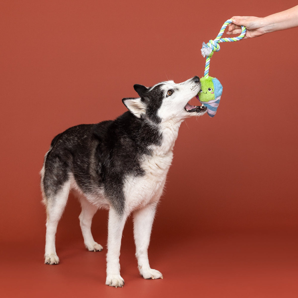 Cone-Fidence Is Yummy Rope Dog Toy