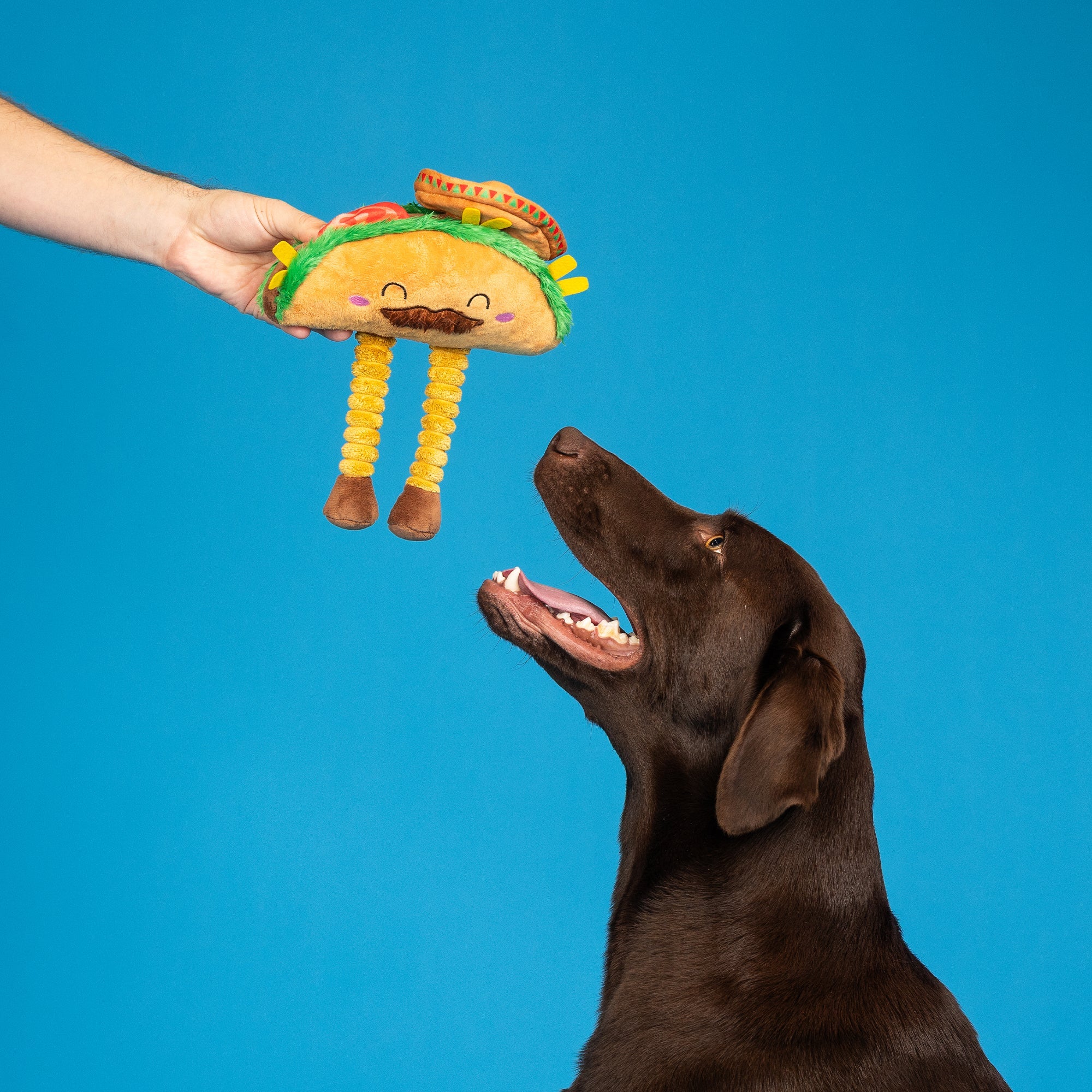 Spicy Sidekick Plush Dog Toy