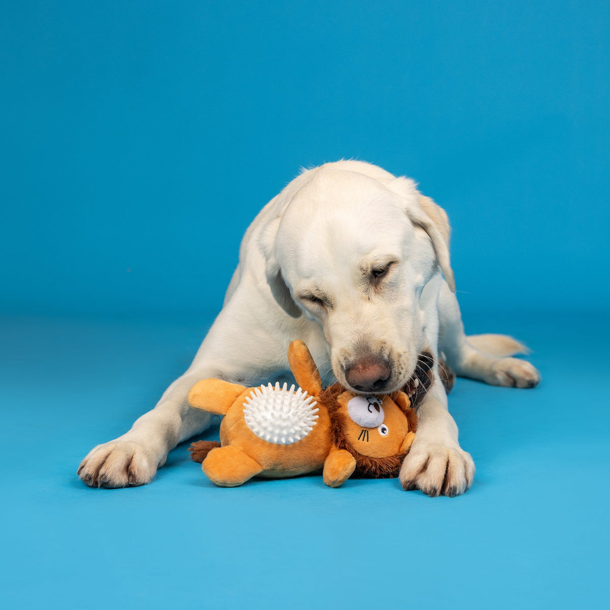Can't Be Tamed Plush/Spiky Ball Dog Toy