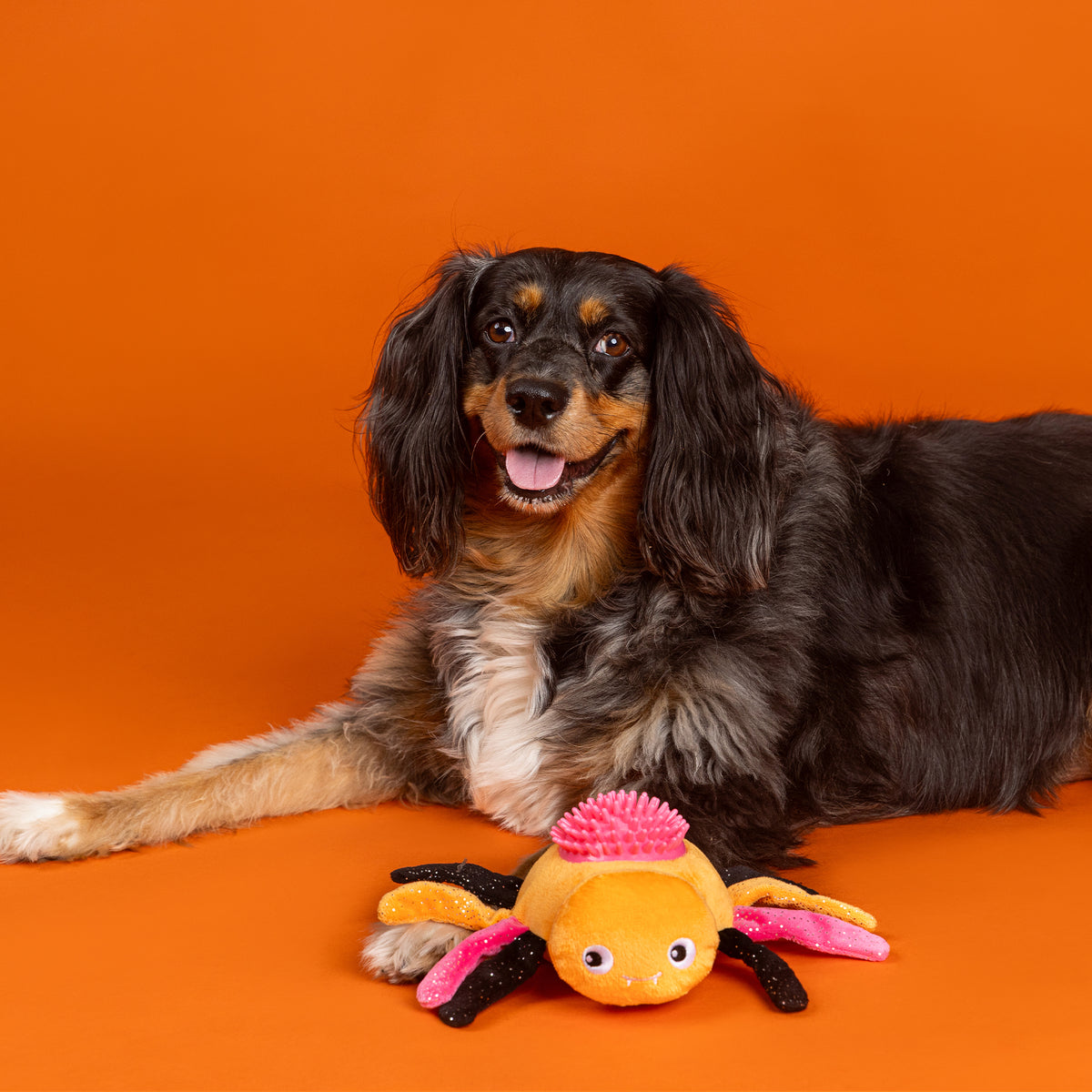 Stop Bugging Me Pastel Plush/Spiky Ball Dog Toy