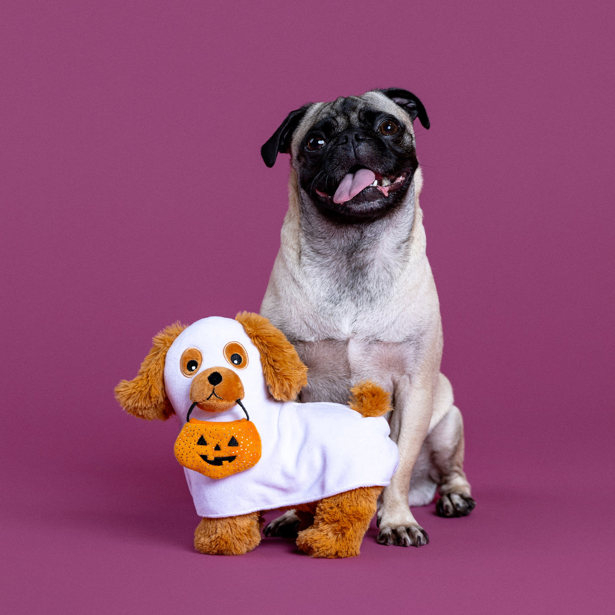 Hauntin' Hound Plush Dog Toy