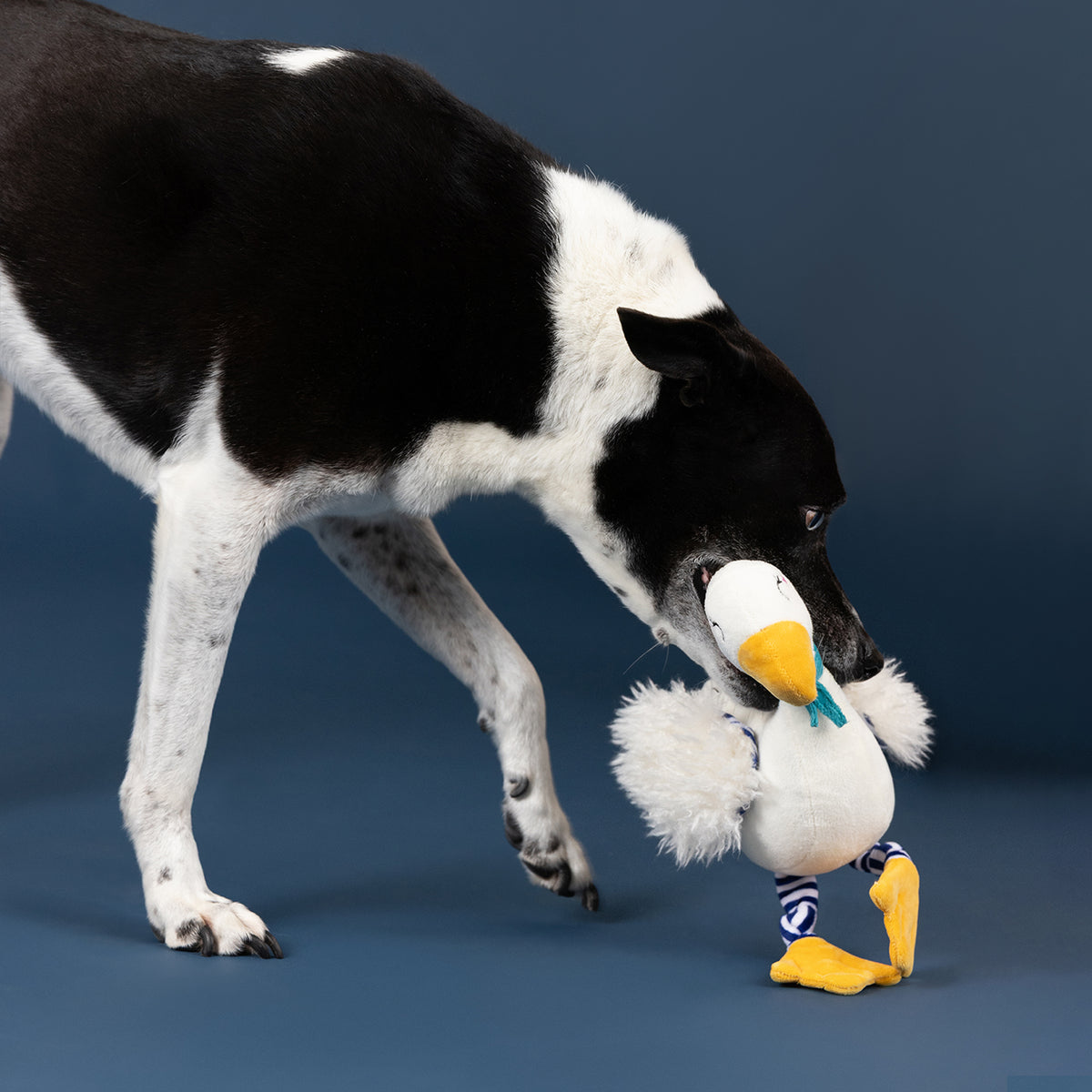 Wagsdale Goose On The Loose! Plush Dog Dog Toy