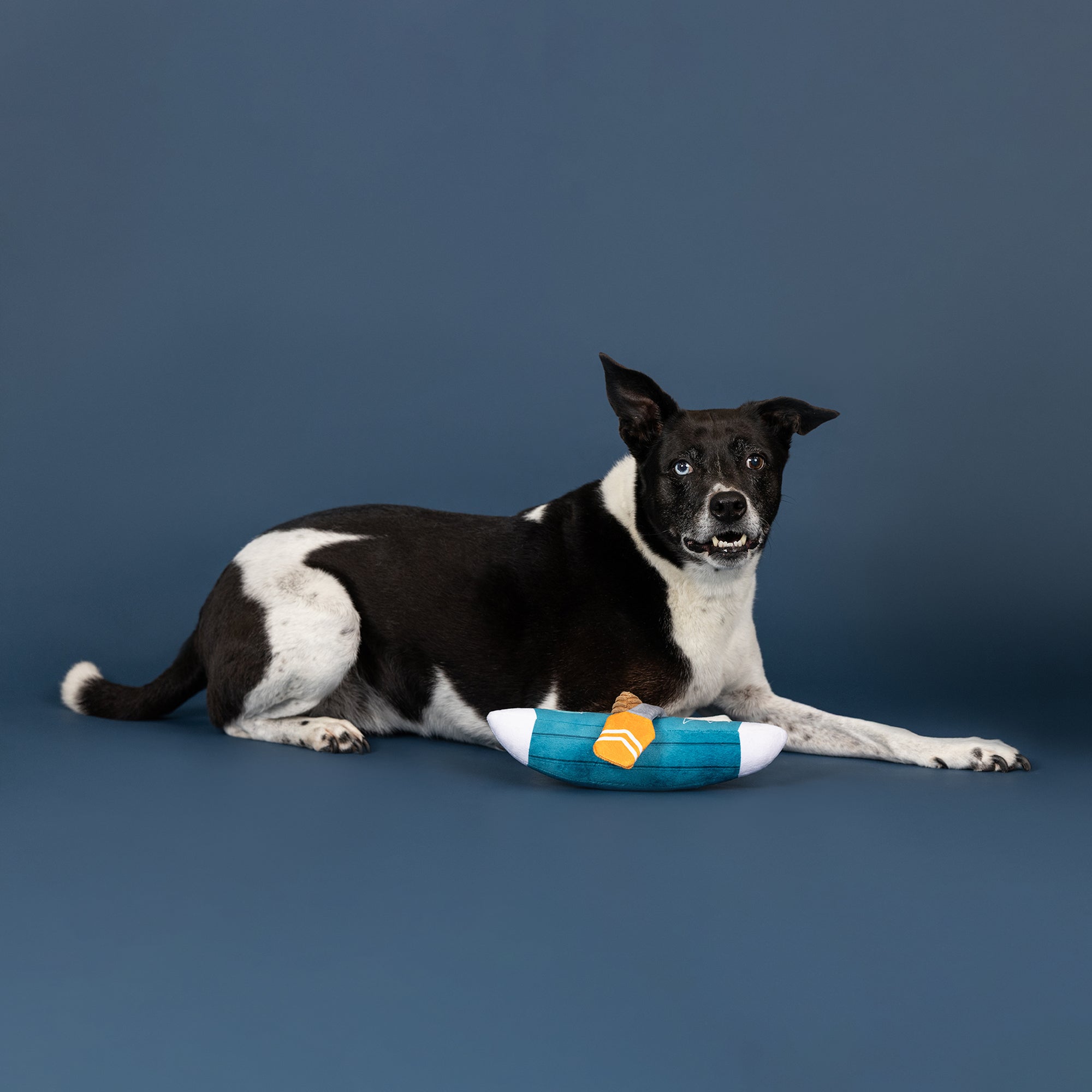 Wagsdale Go With The Flow Plush Dog Toy
