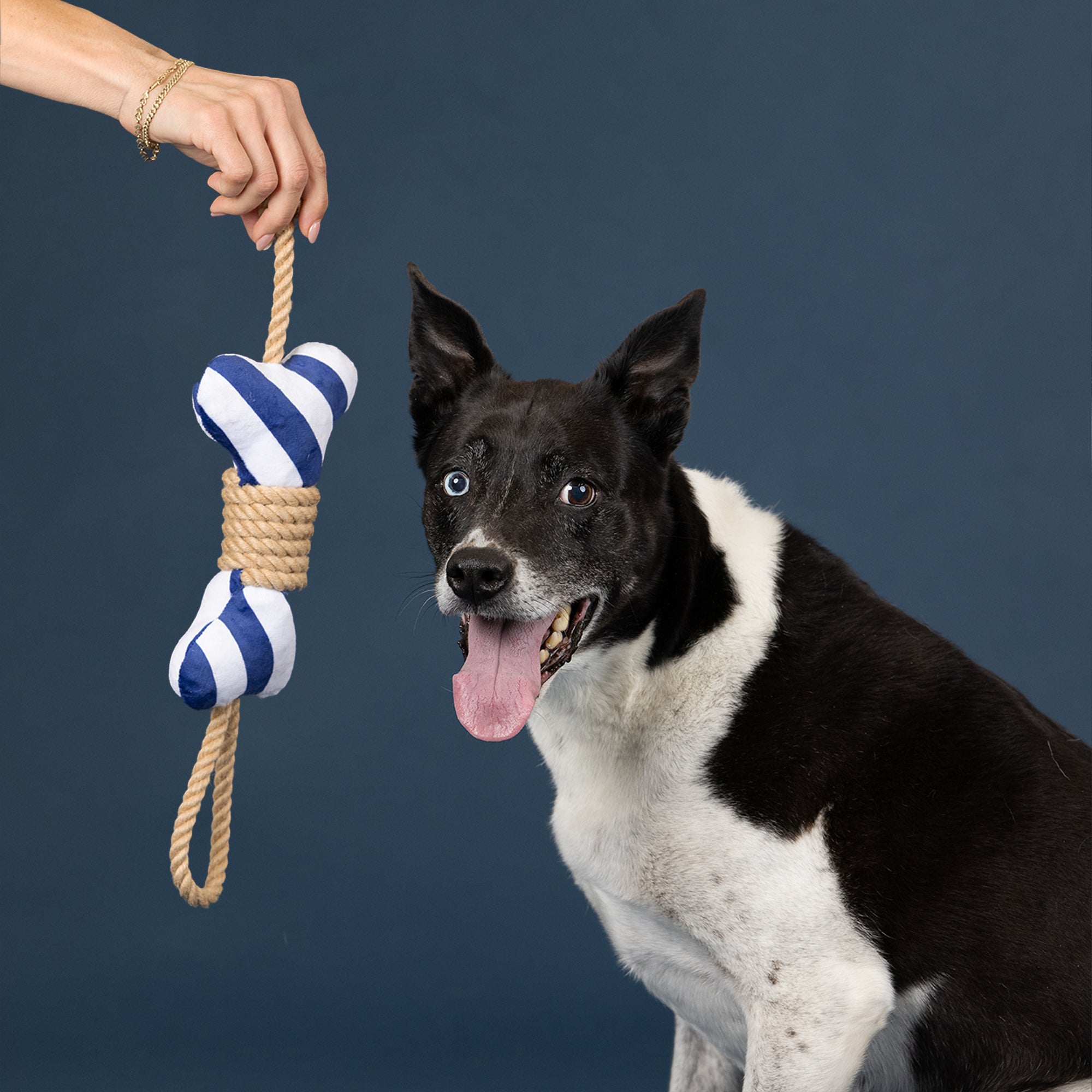 Wagsdale Feeling' Nauti Dog Toy