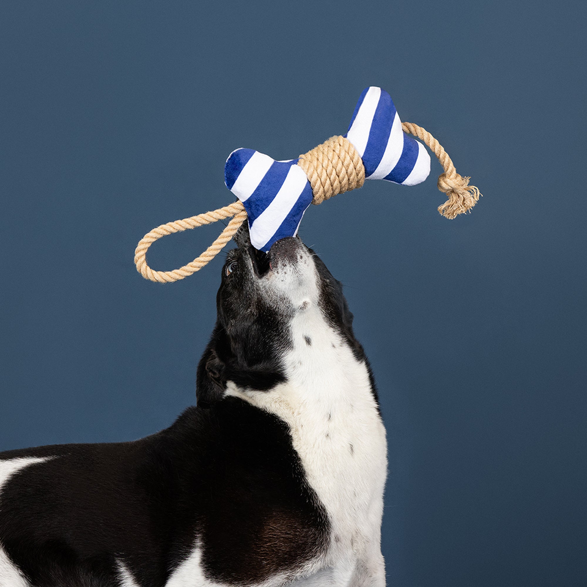 Wagsdale Feeling' Nauti Dog Toy