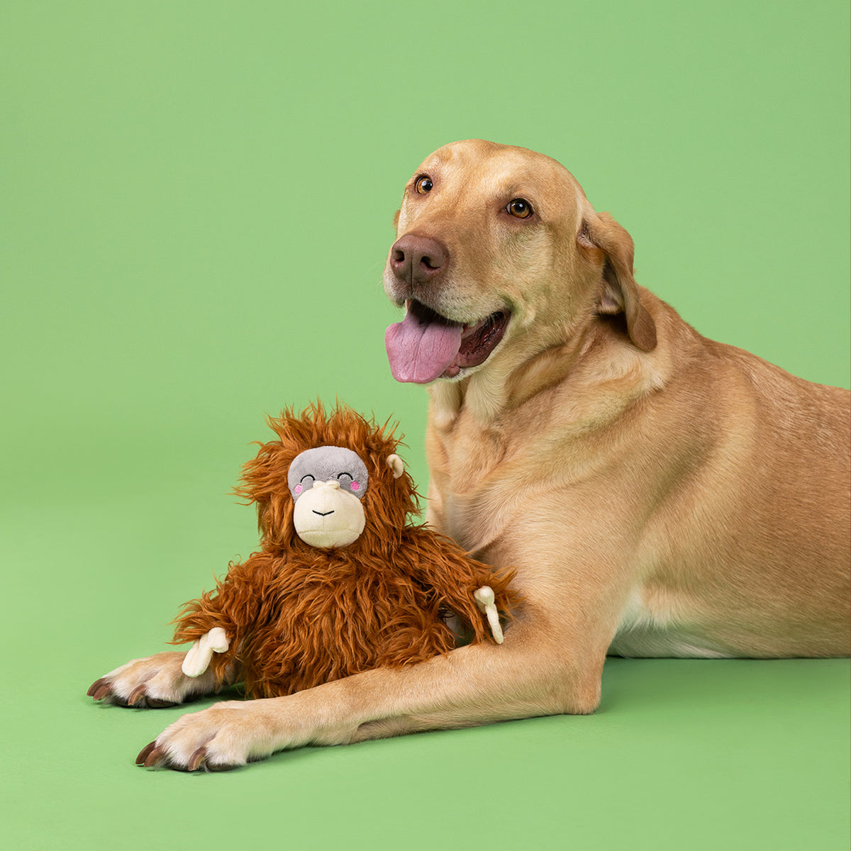 Oranga-Hug Plush Dog Toy