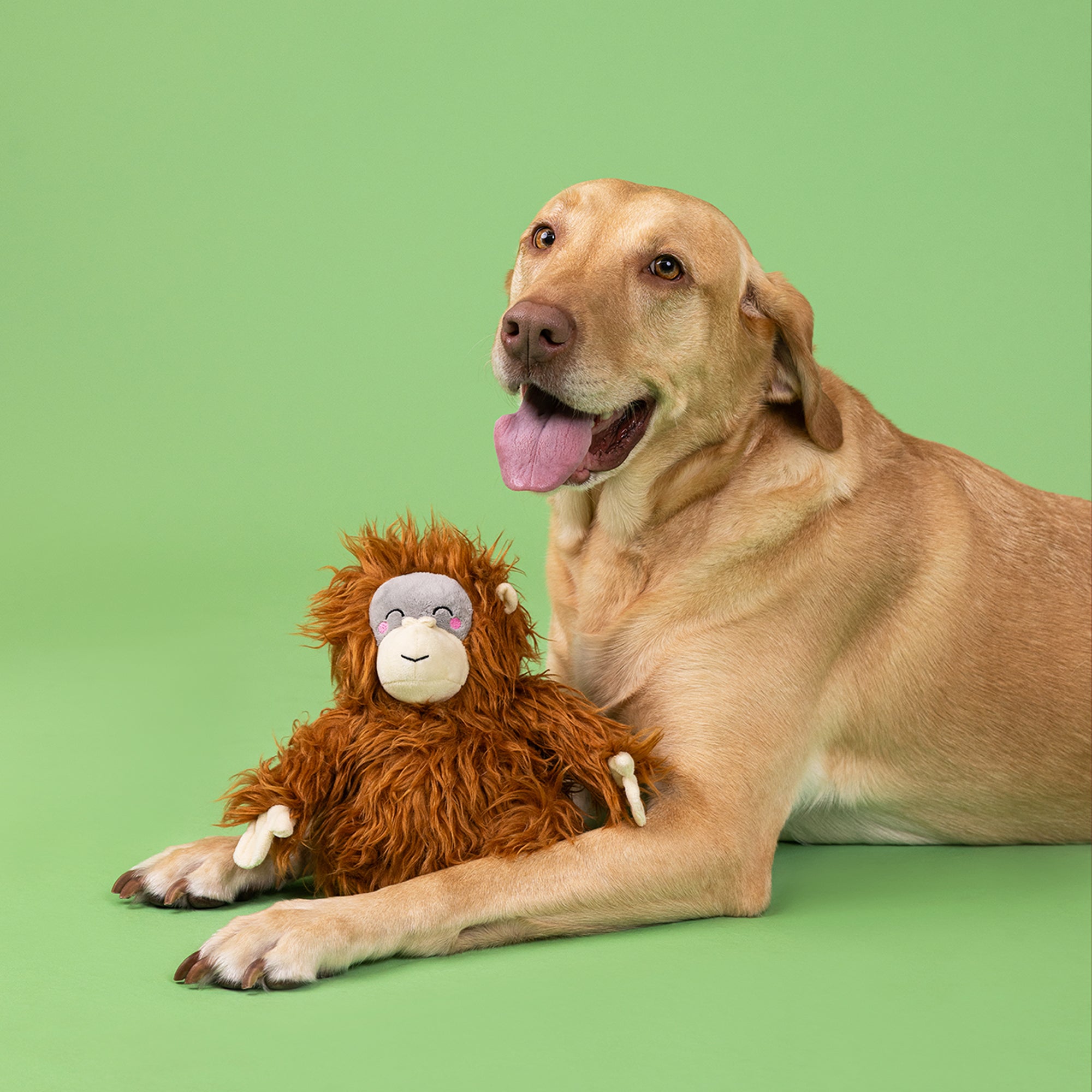 Oranga-Hug Plush Dog Toy