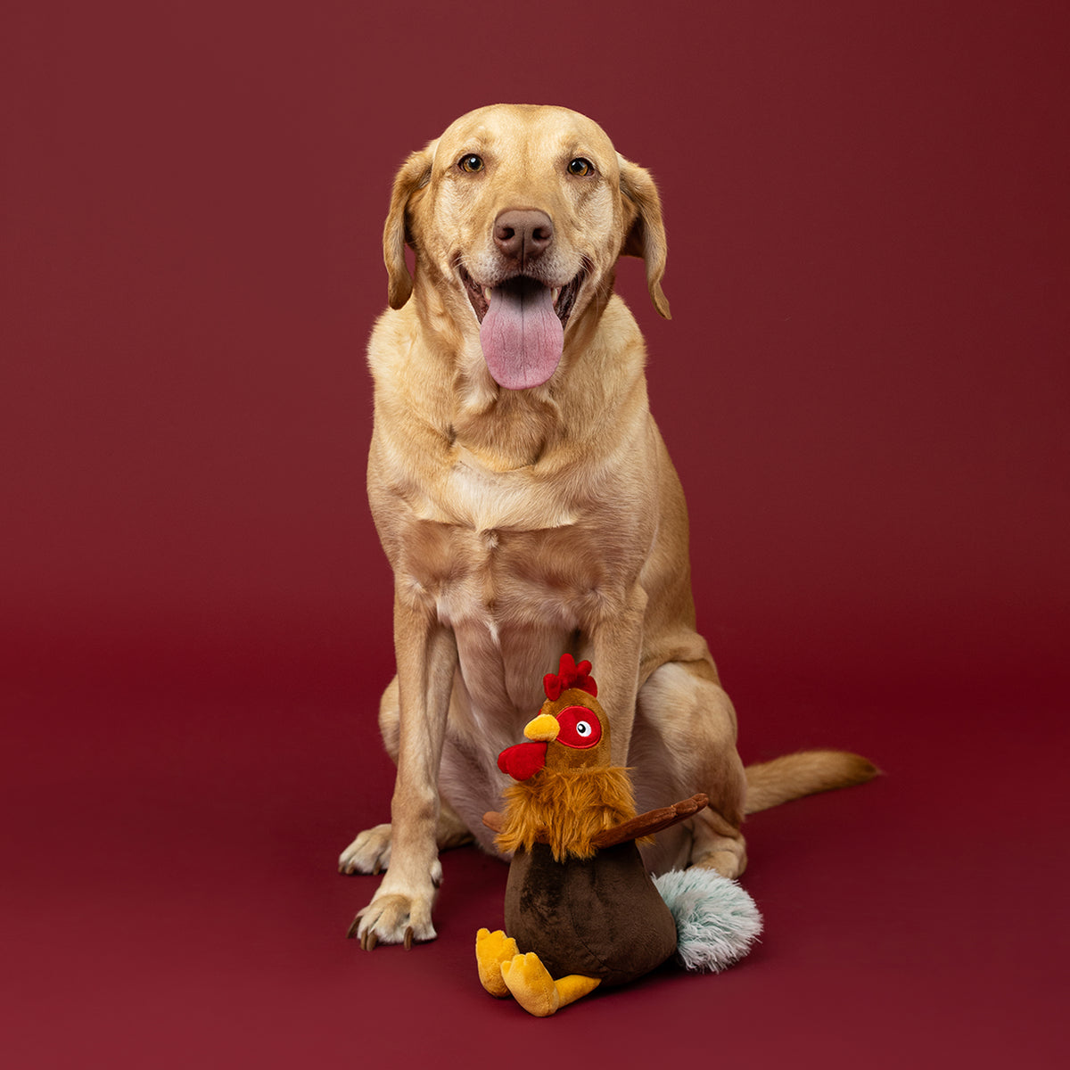 Roost and Repeat Plush Dog Toy