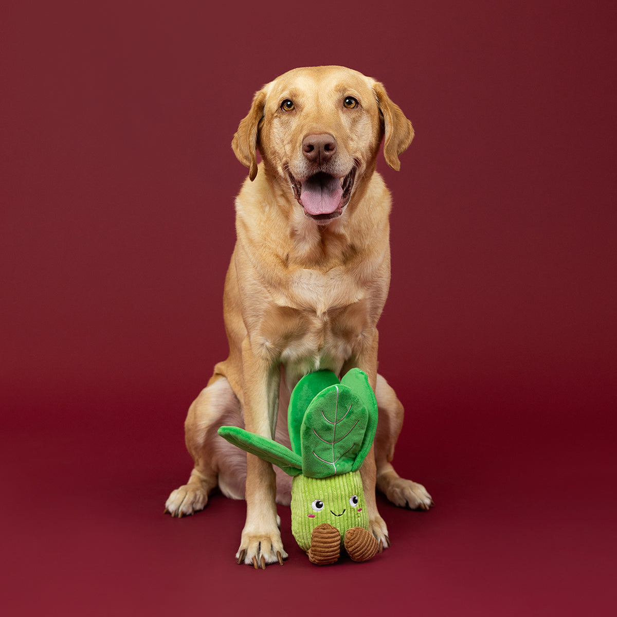 I'll Be Bok Plush Dog Toy