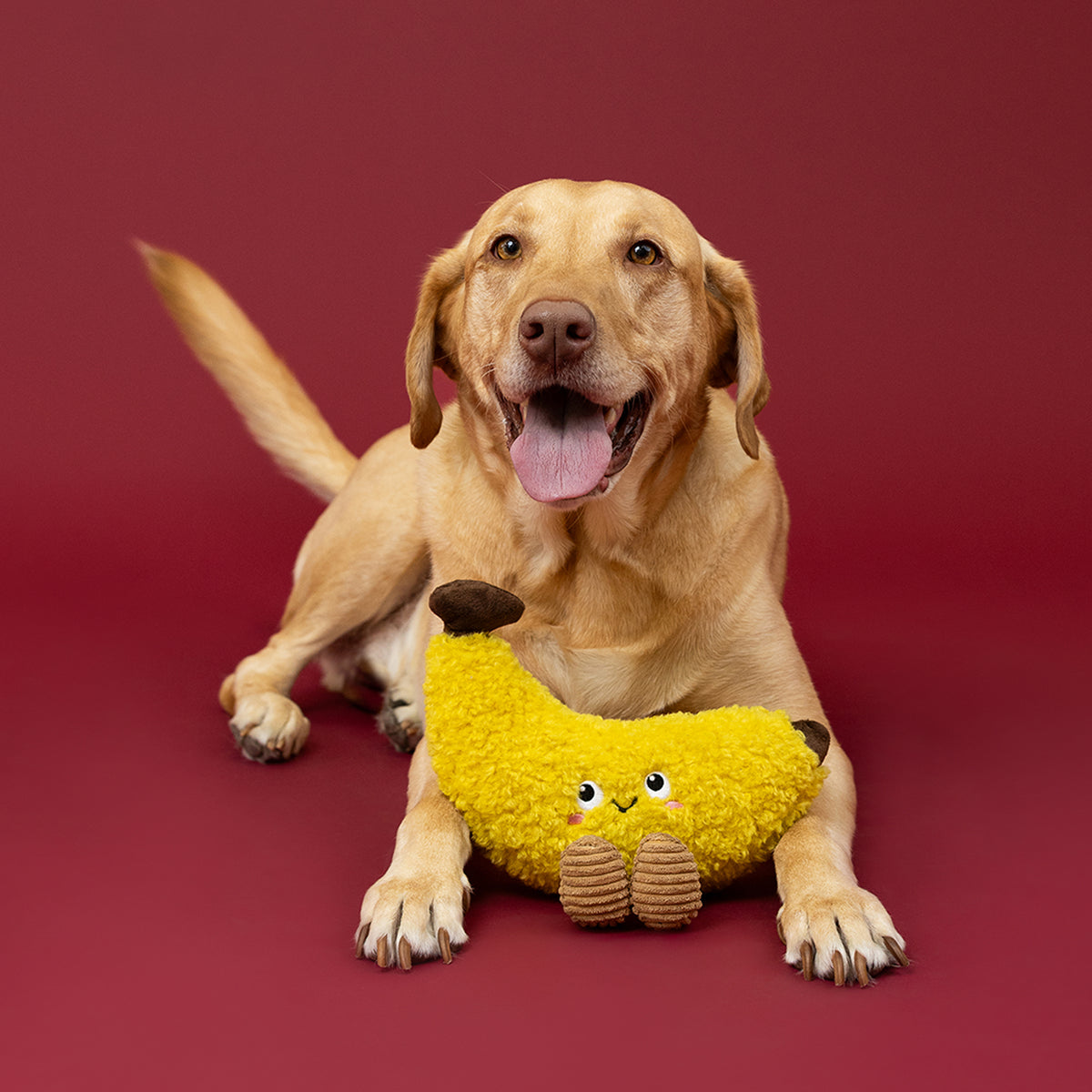 Head Over Peels For You Plush Dog Toy