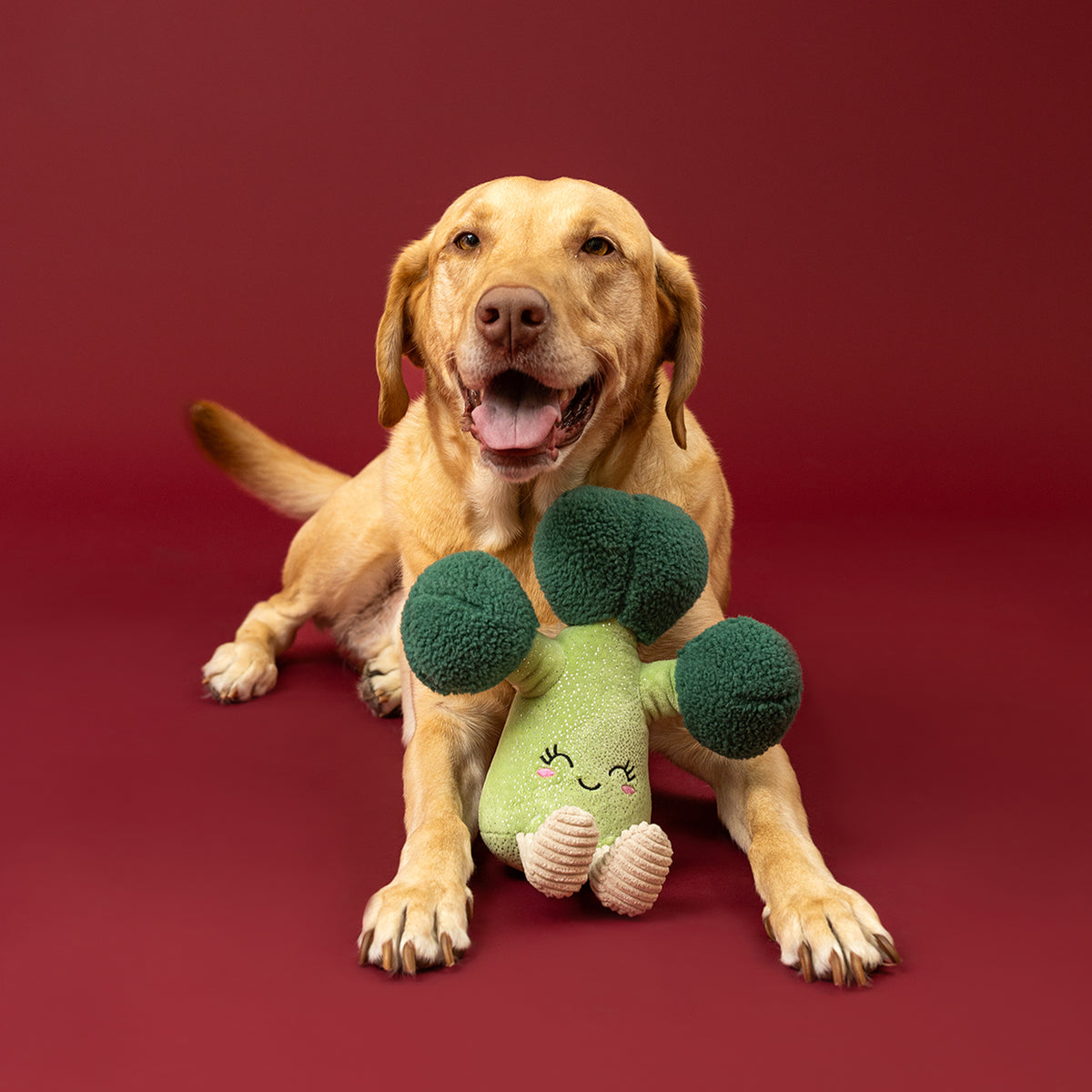 Brocc Star! Plush Dog Toy