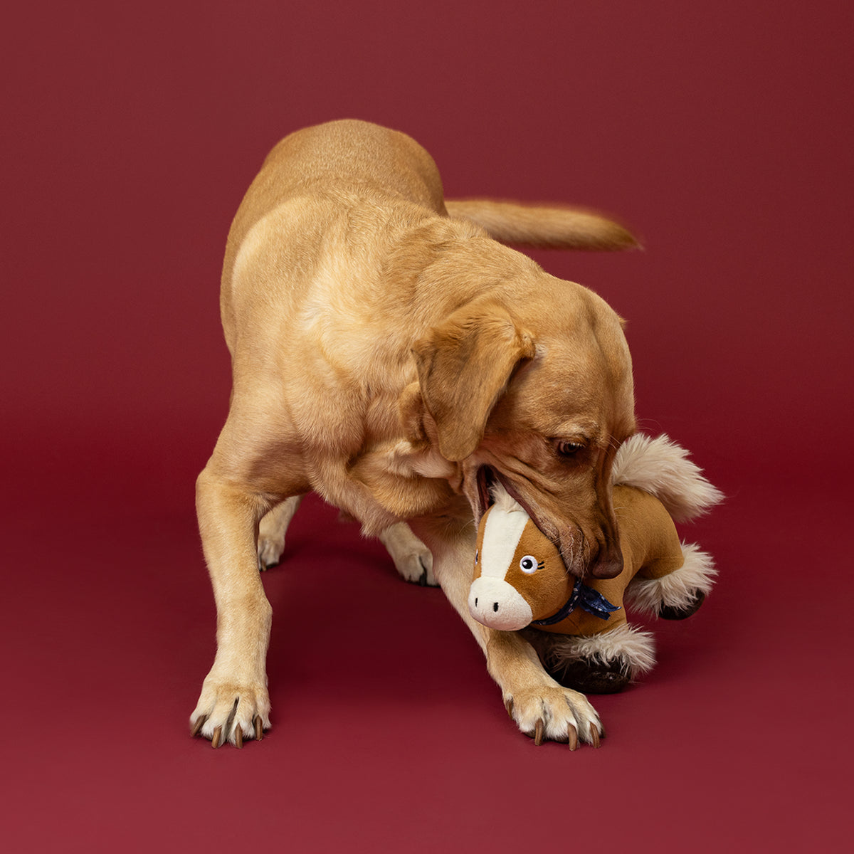 Hay There, Cutie! Plush Dog Toy