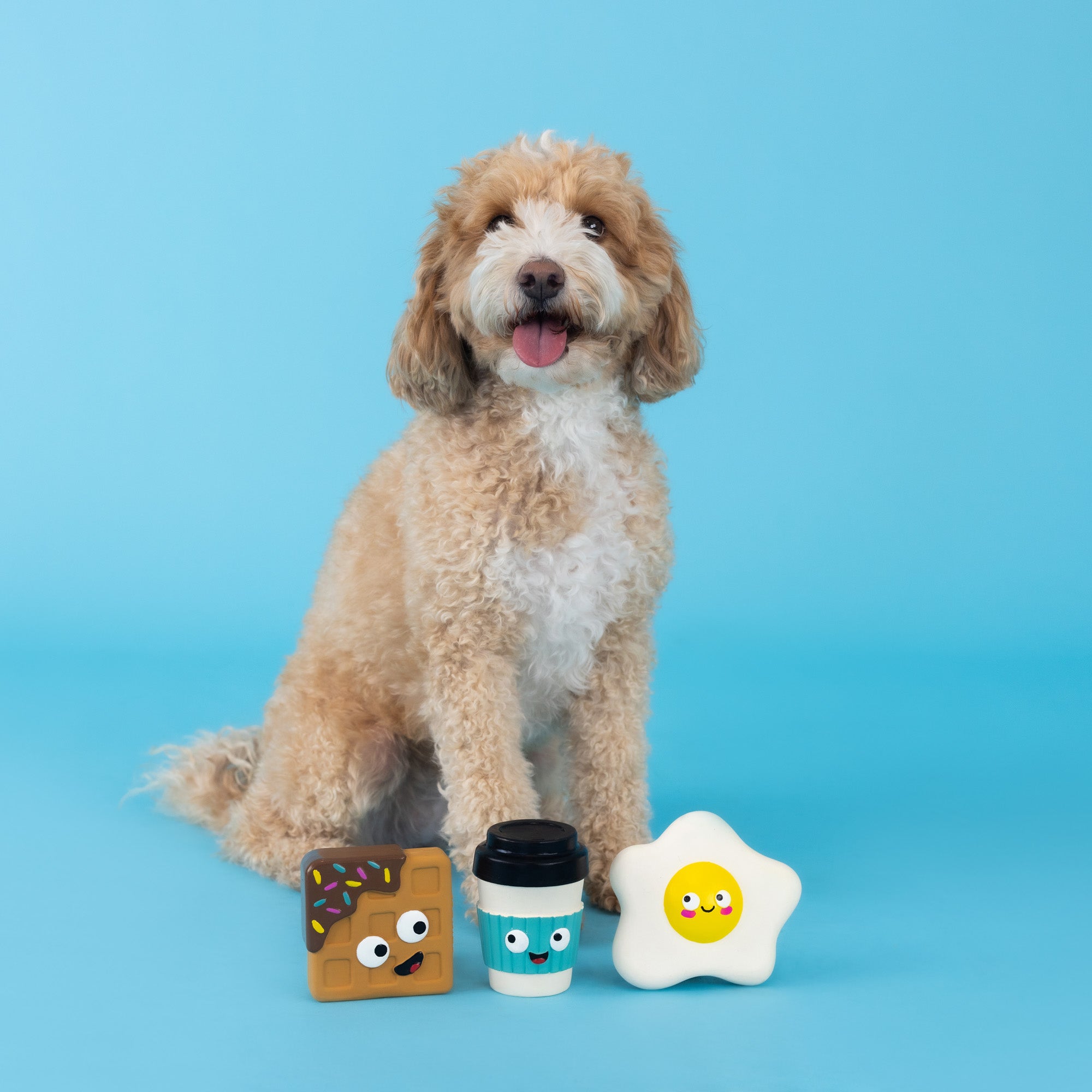 Love You A Brunch 3pc Mini Latex Dog Toy Set