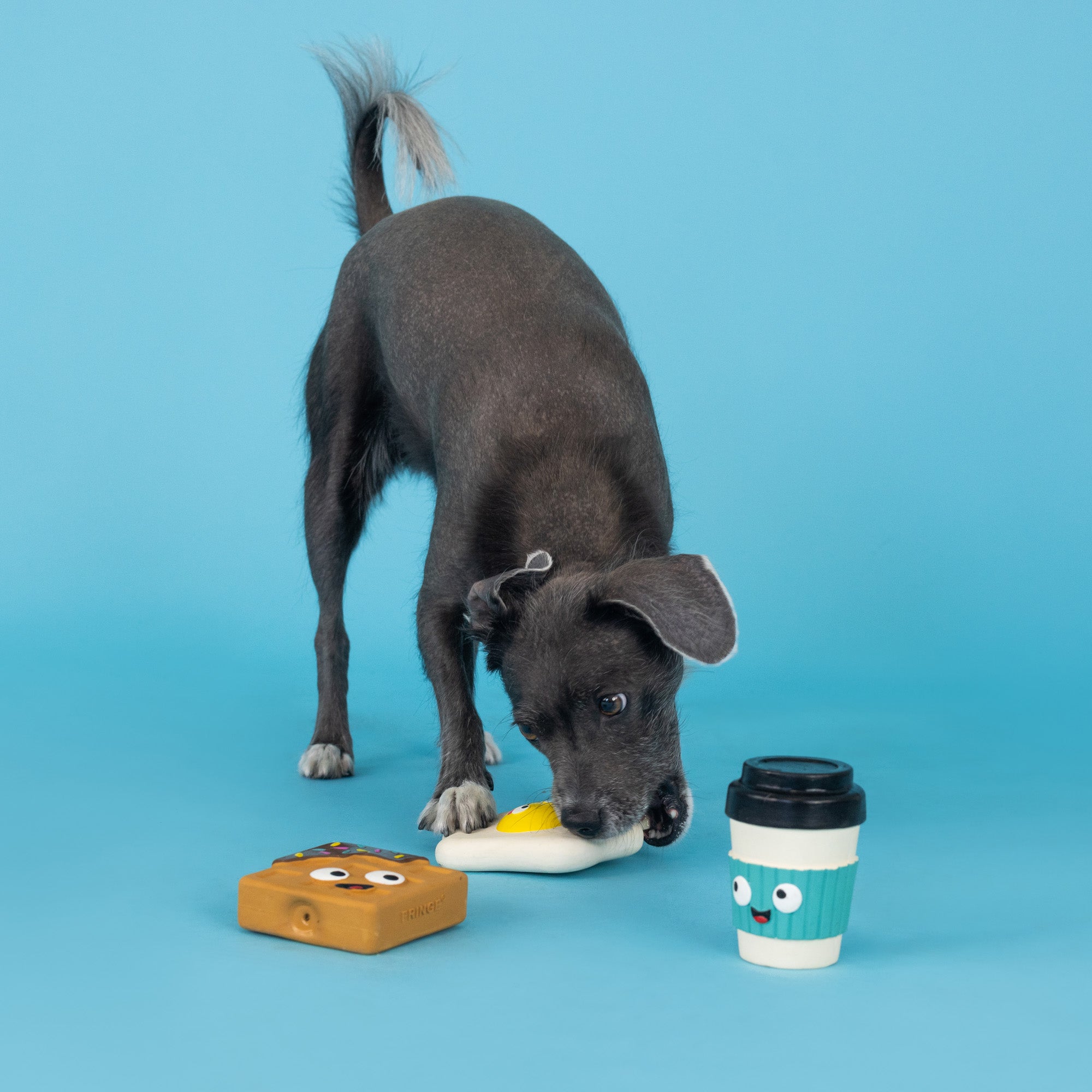 Love You A Brunch 3pc Mini Latex Dog Toy Set