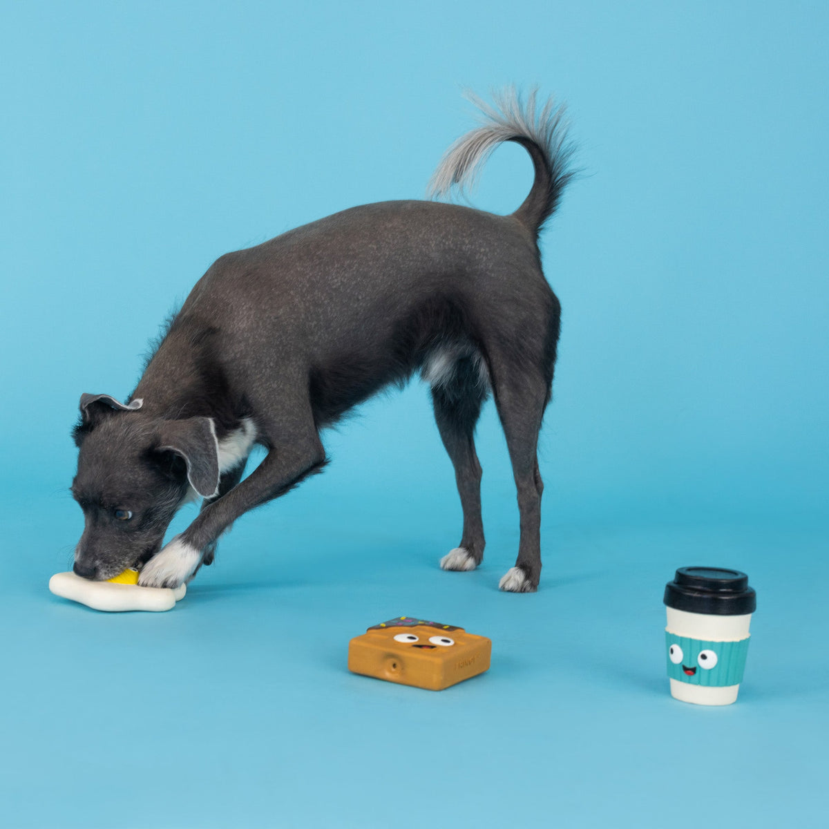 Love You A Brunch 3pc Mini Latex Dog Toy Set