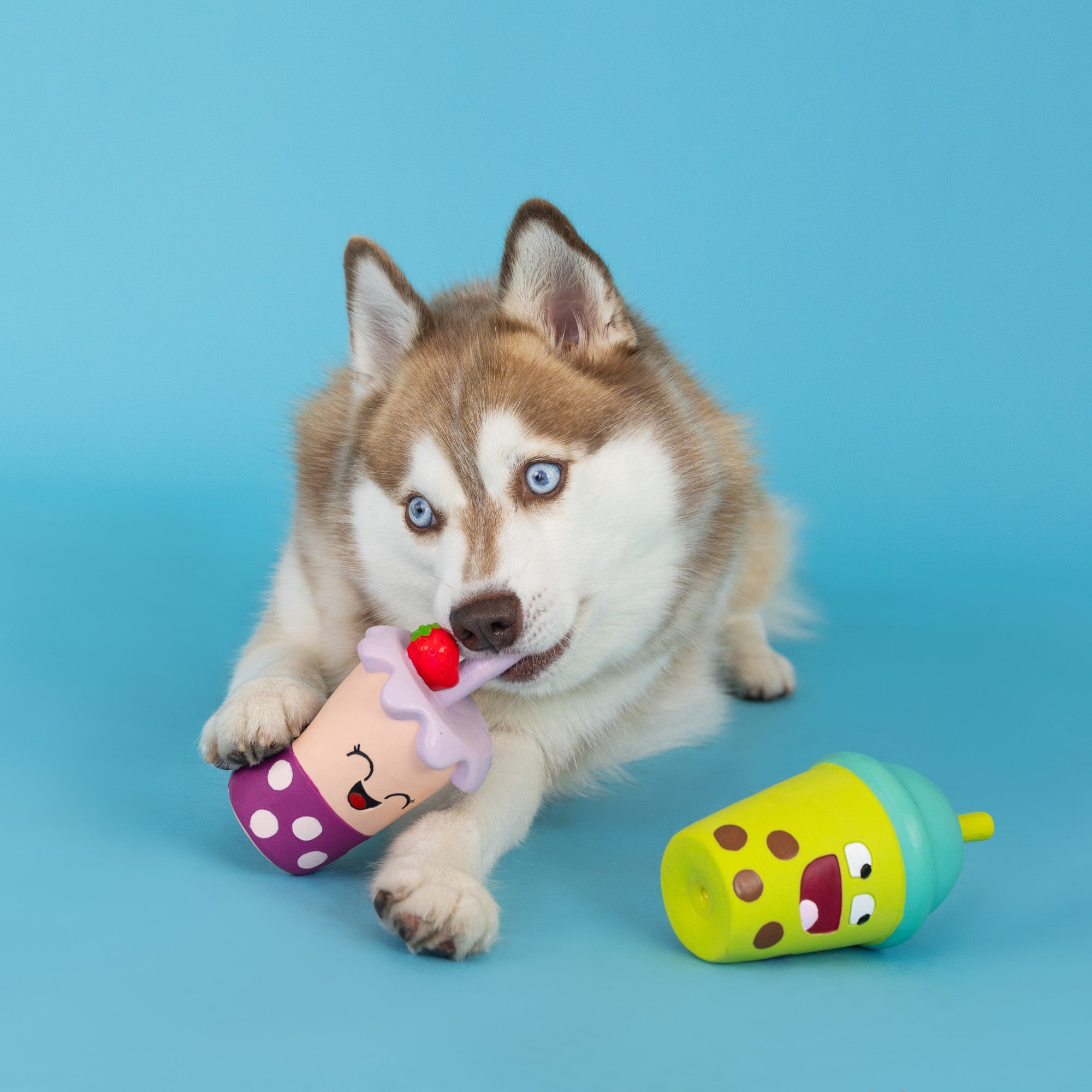 Best-Teas 2pc Latex Dog Toy Set
