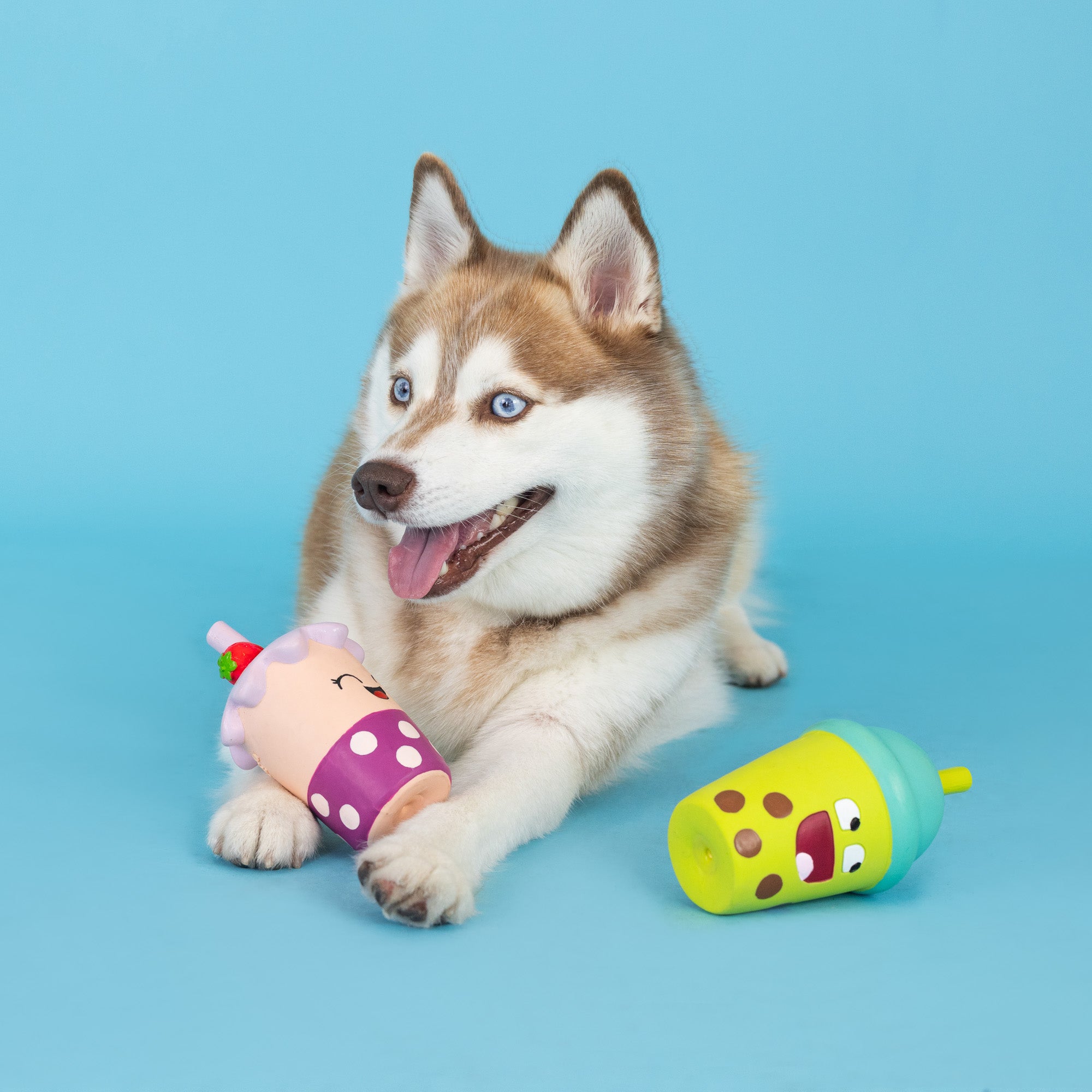 Best-Teas 2pc Latex Dog Toy Set