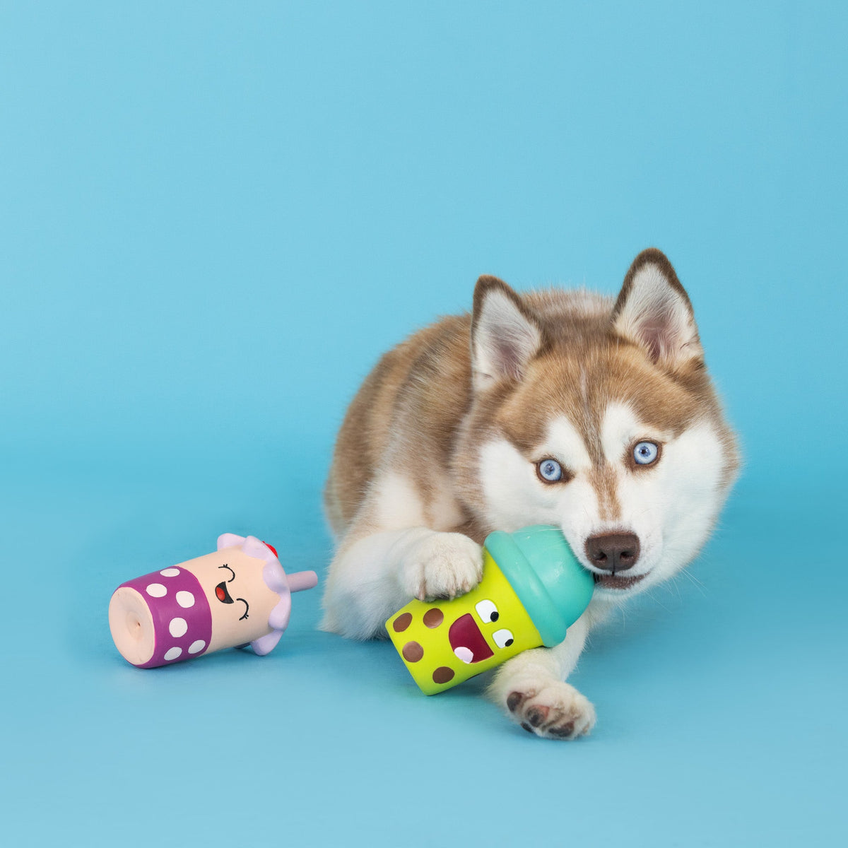 Best-Teas 2pc Latex Dog Toy Set