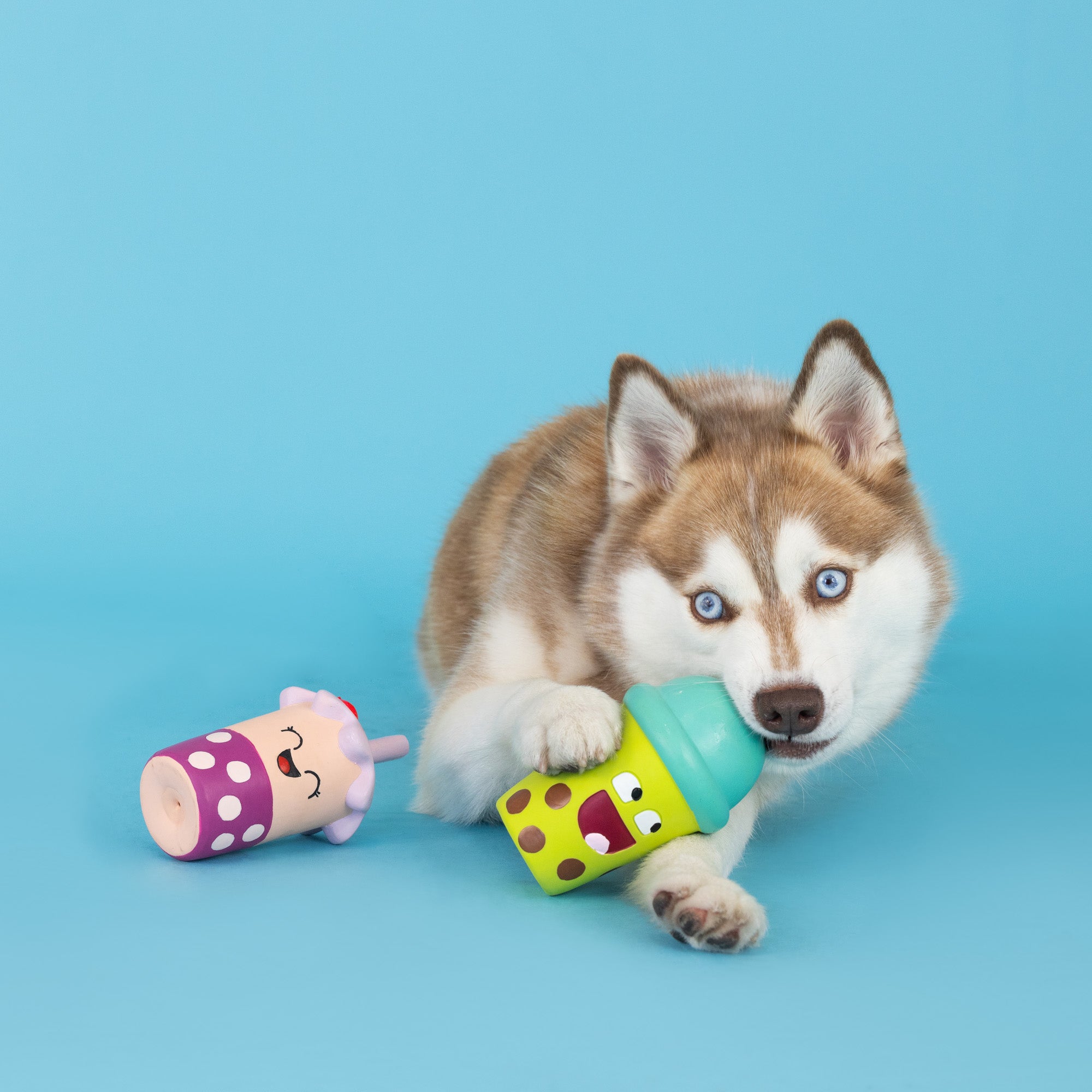 Best-Teas 2pc Latex Dog Toy Set