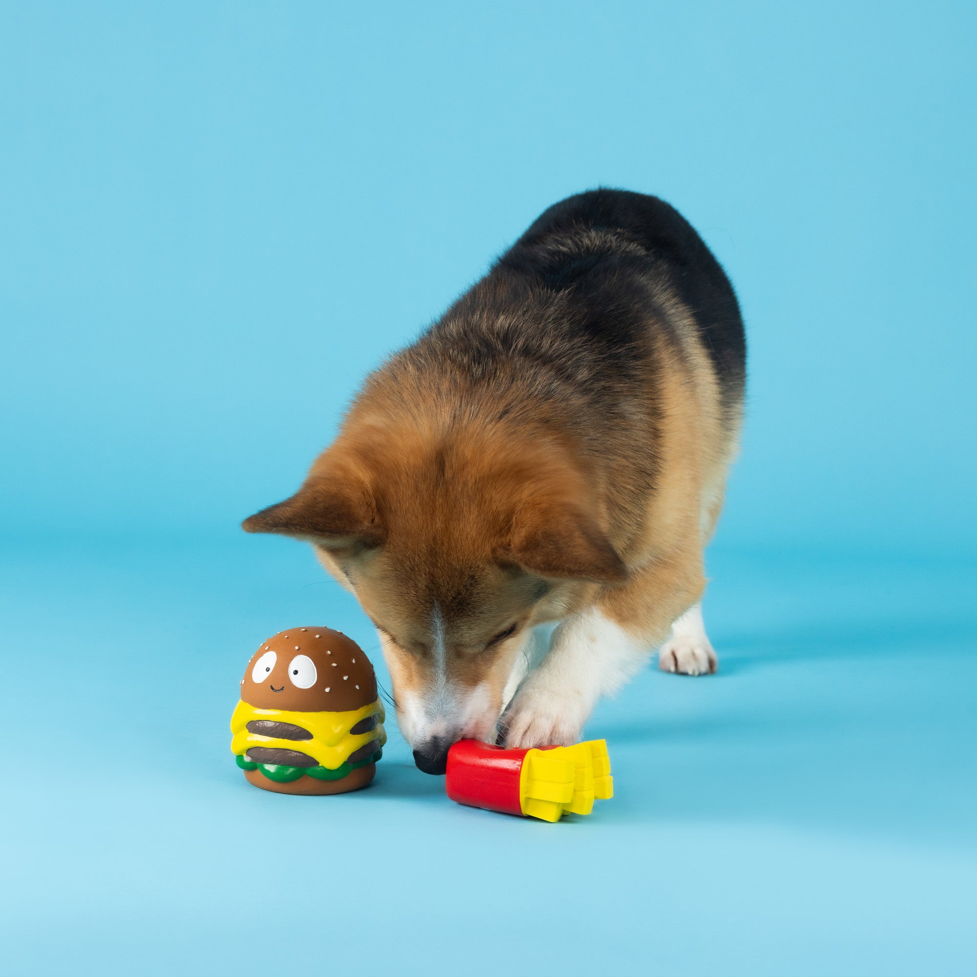 Big Buns, Small Fry 2pc Latex Dog Toy Set