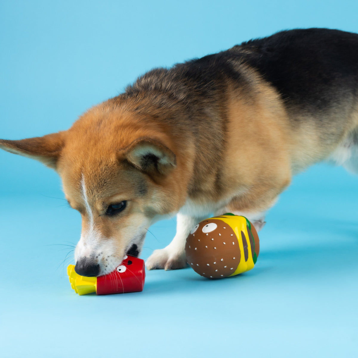 Big Buns, Small Fry 2pc Latex Dog Toy Set