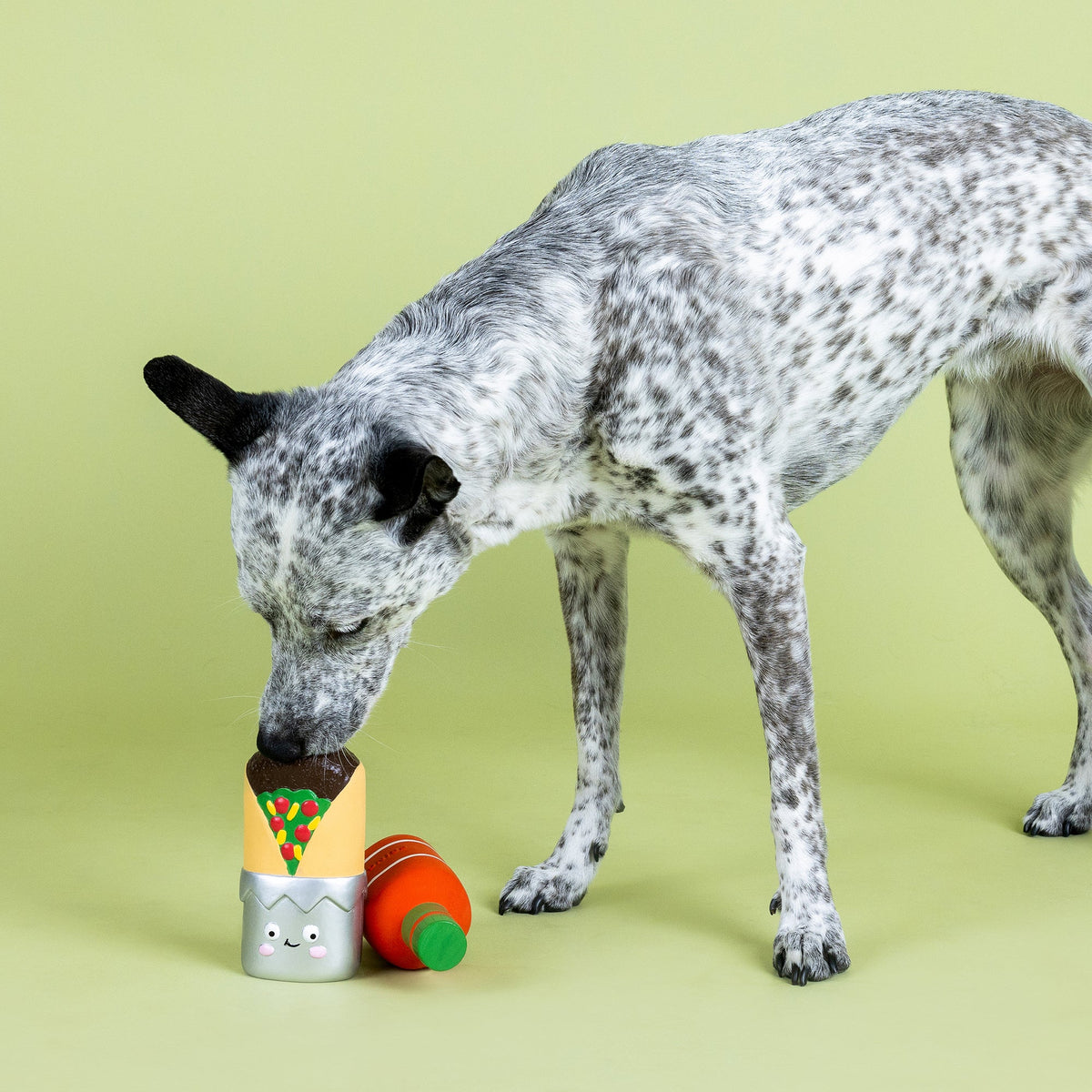 I Make You Hot 2pc Latex Dog Toy Set