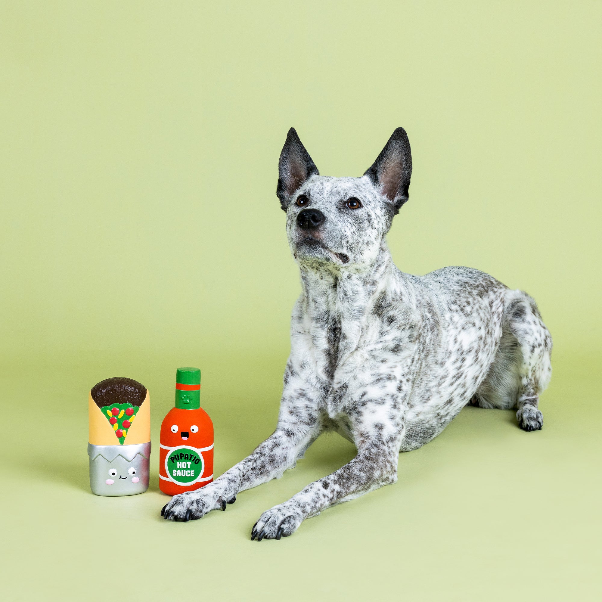 I Make You Hot 2pc Latex Dog Toy Set | Fringe Studio