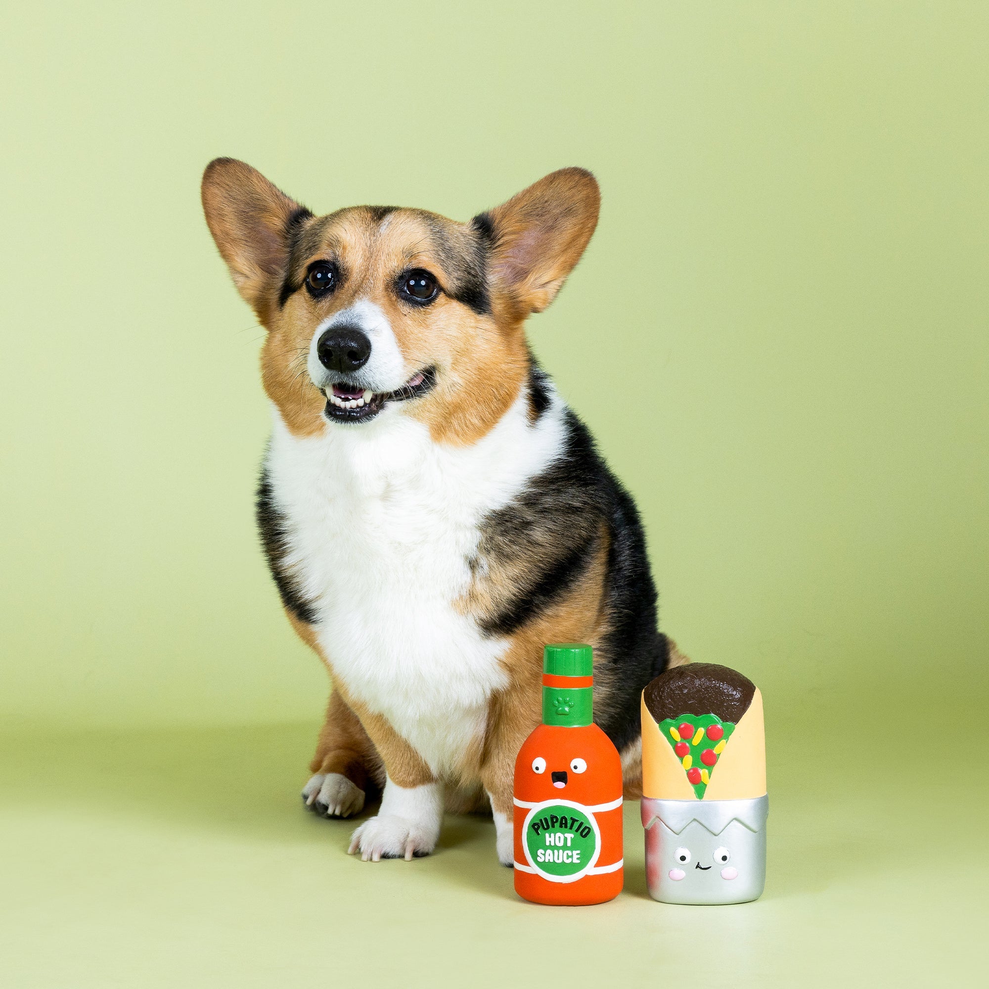 I Make You Hot 2pc Latex Dog Toy Set