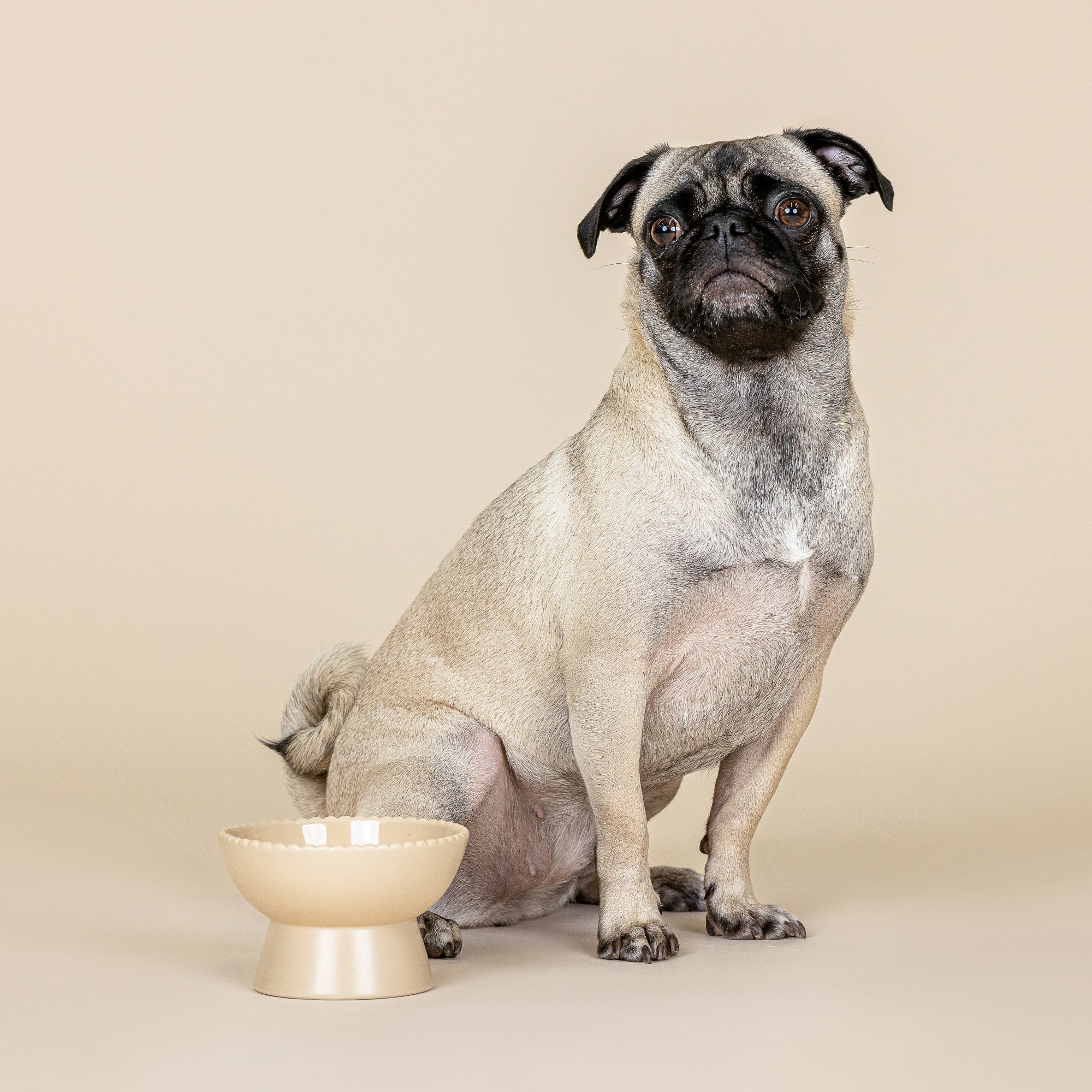 Scalloped Edge Stone Small Elevated Bowl