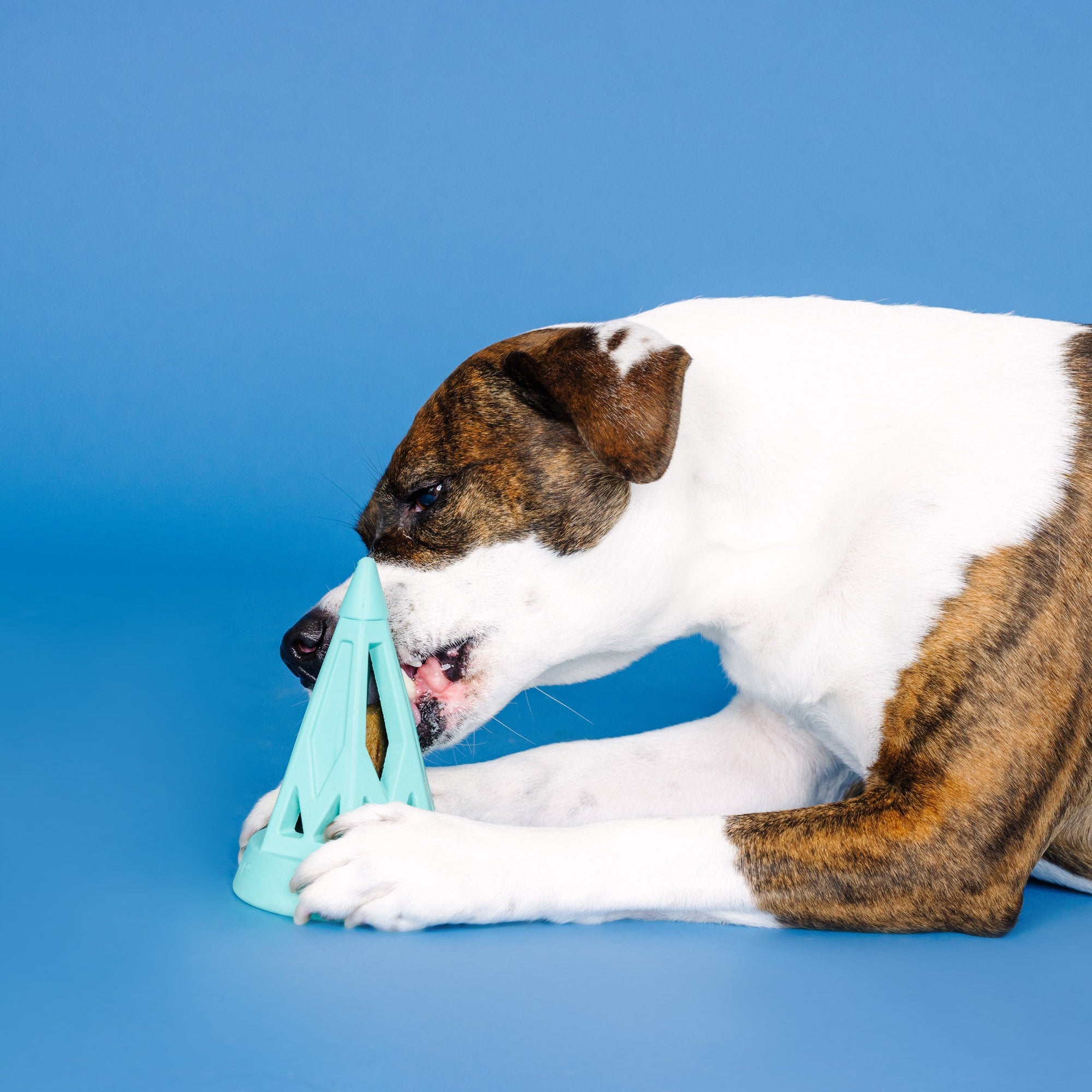 You Cone Do It! Turquoise Rubber Dog Toy