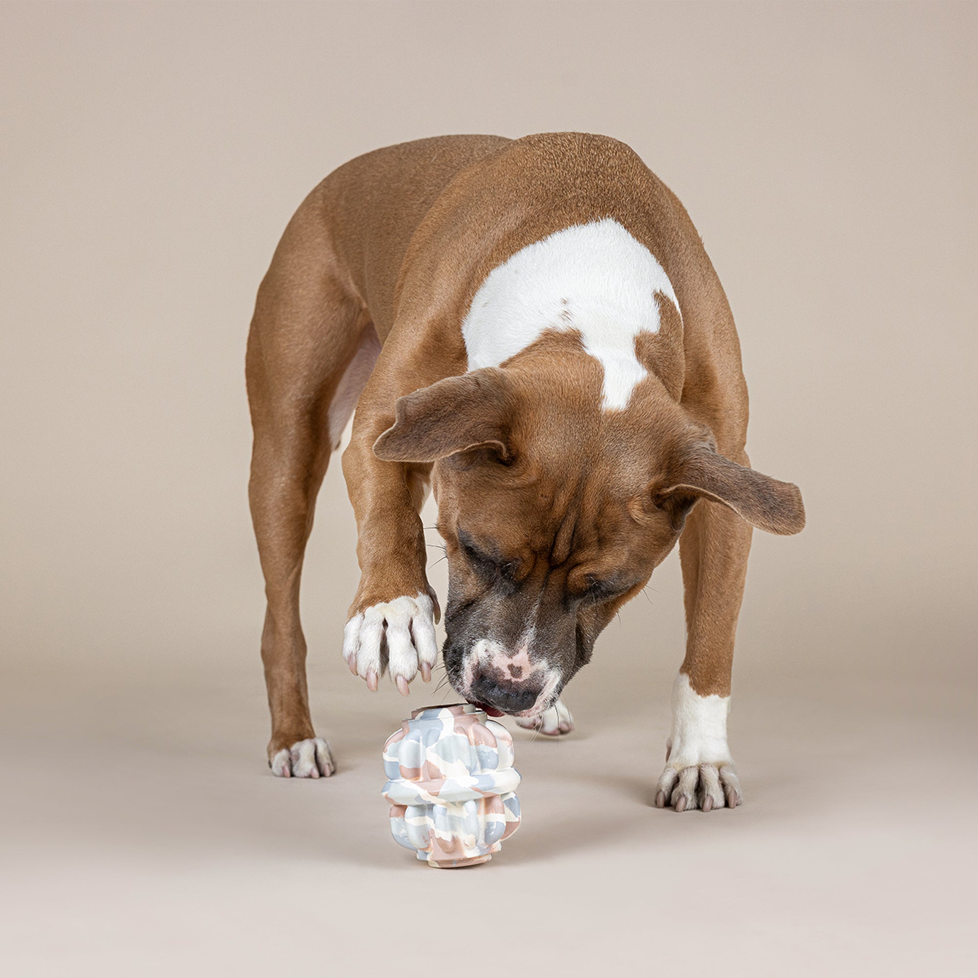 Geo-Metric Rubber Dog Toy