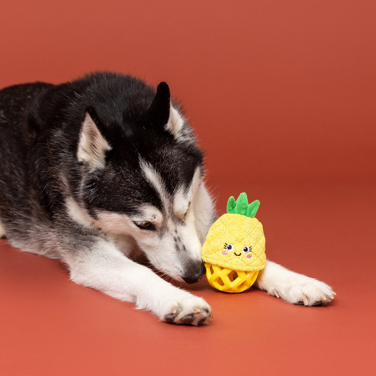 Pining For You Rubber/Plush Dog Toy