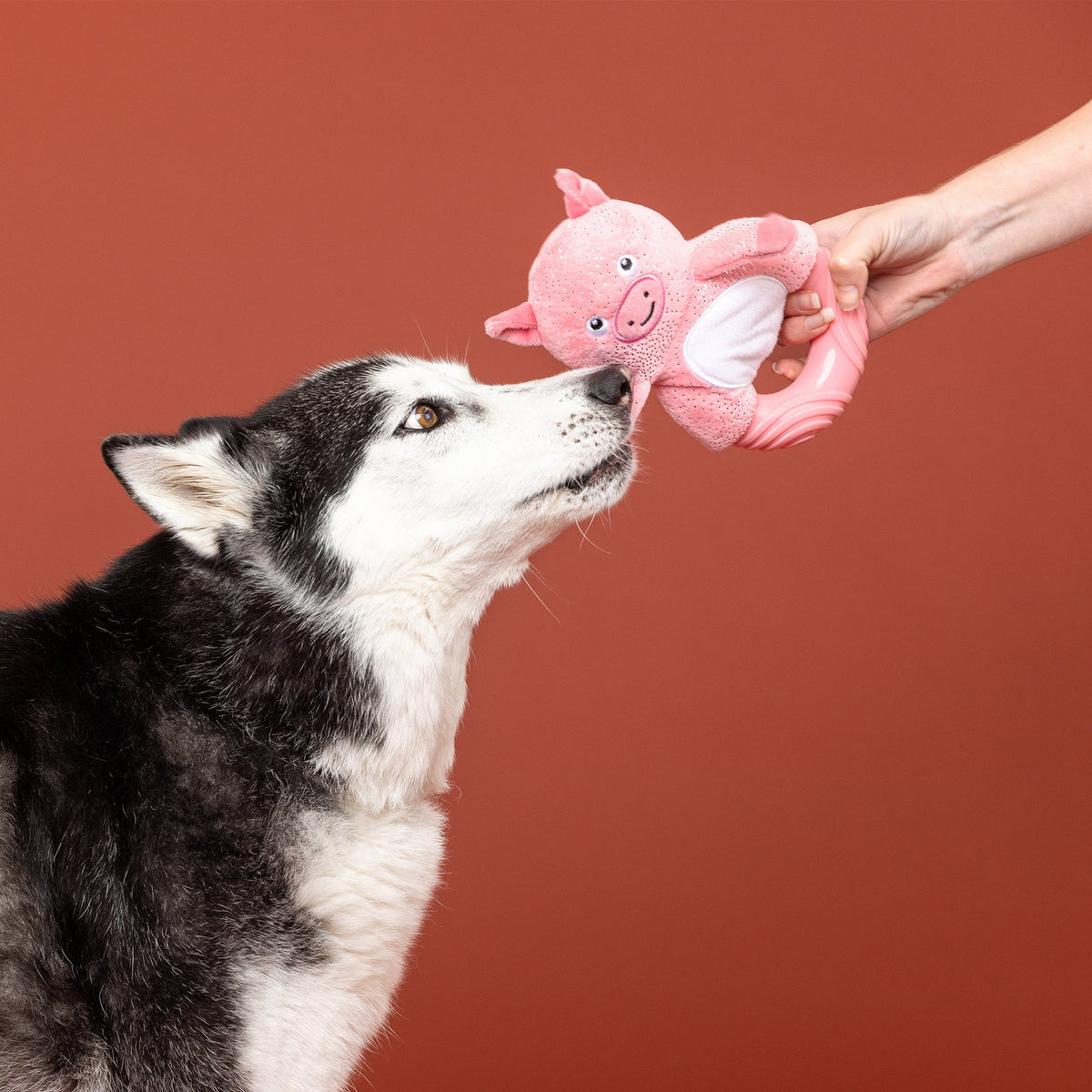 Get Piggy With It Rubber/Plush Dog Toy