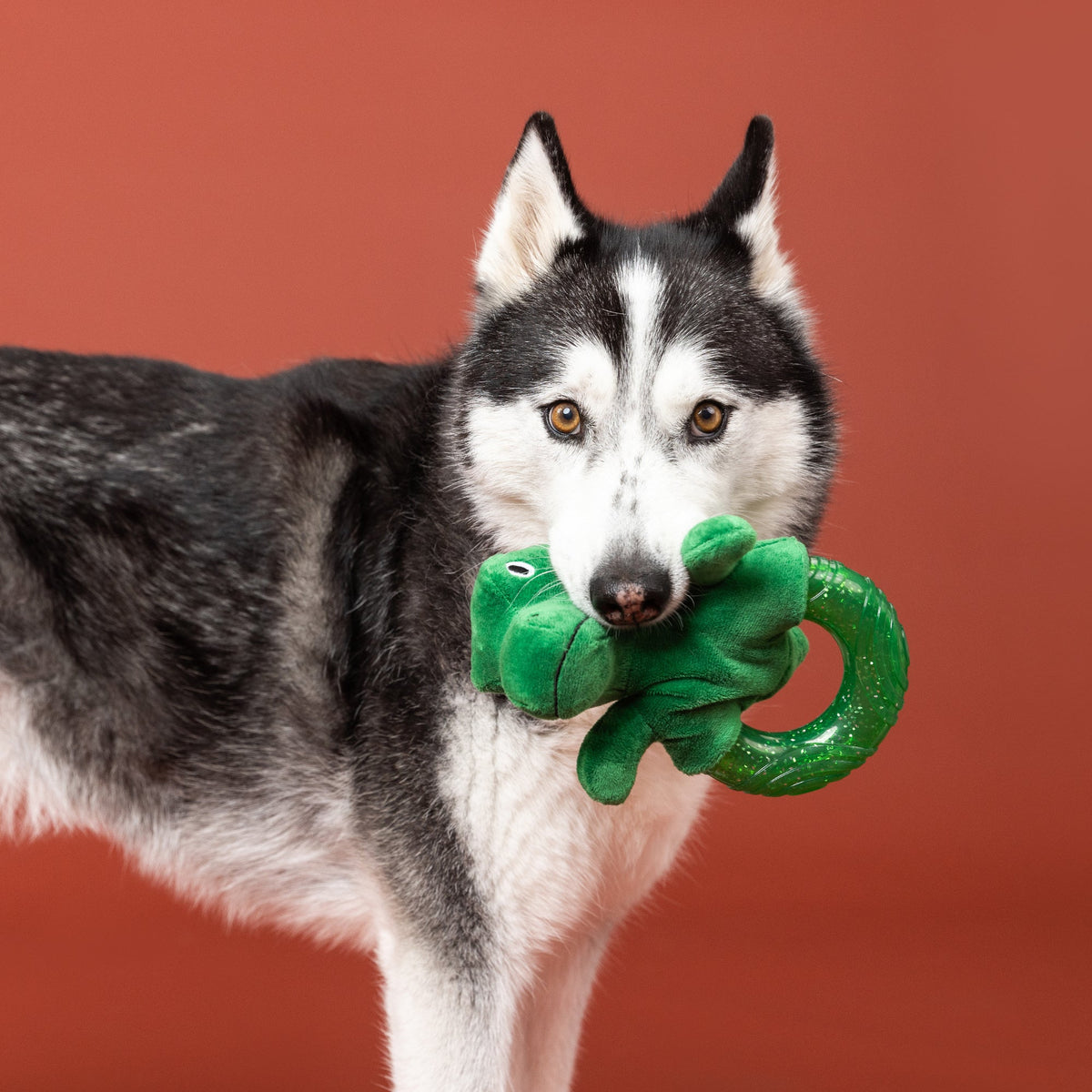 Unleash The Dino Rubber/Plush Dog Toy
