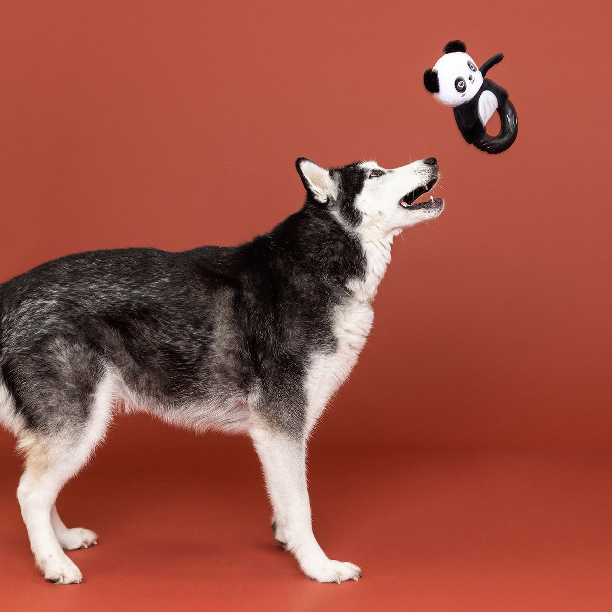 Stu-Panda-Ous! Rubber/ Plush Dog Toy