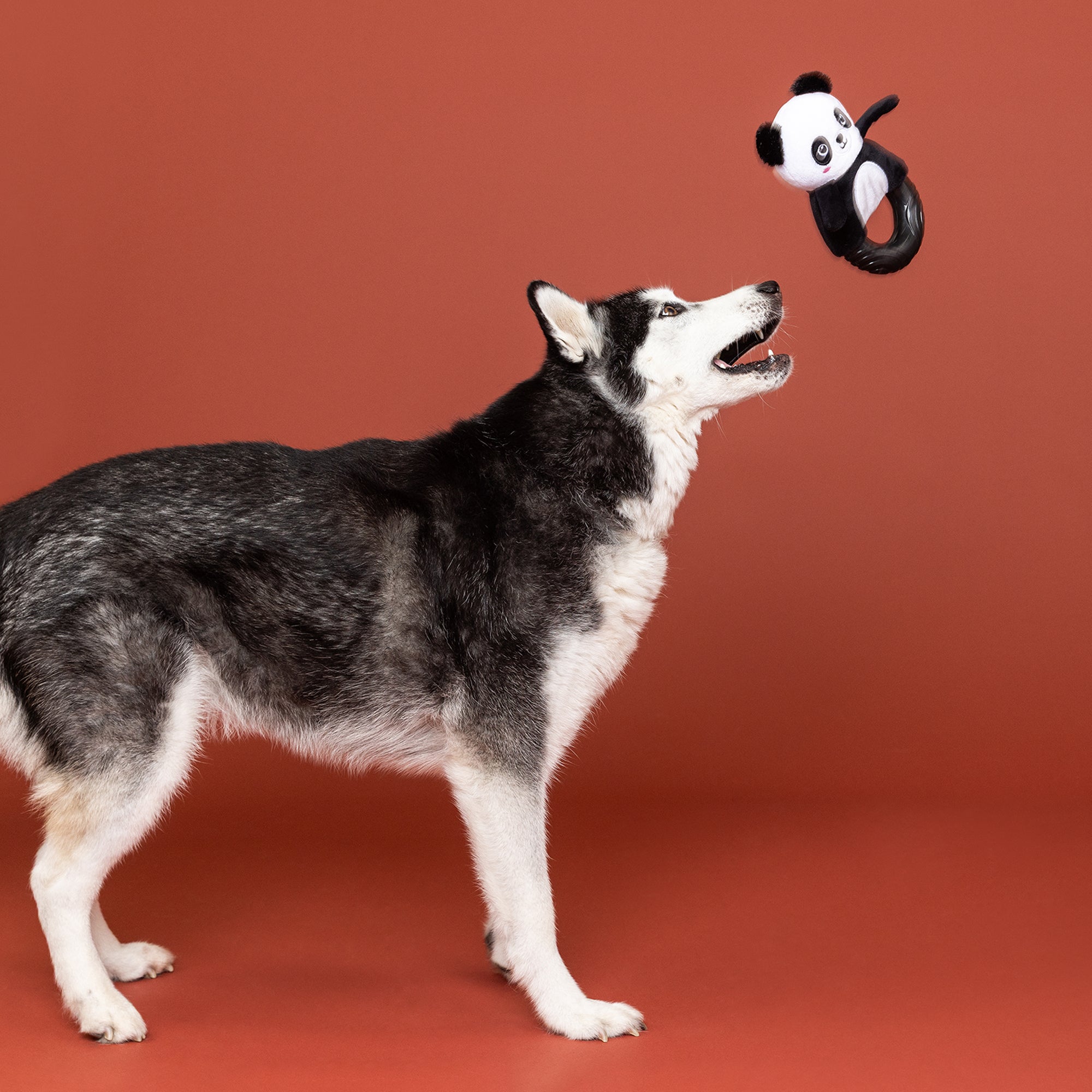 Stu-Panda-Ous! Rubber/Plush Dog Toy