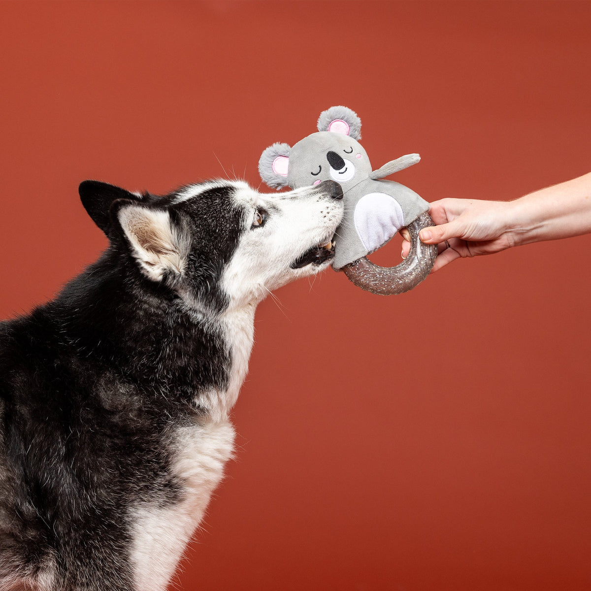 Koal-Ity Vibes Only! Rubber/Plush Dog Toy