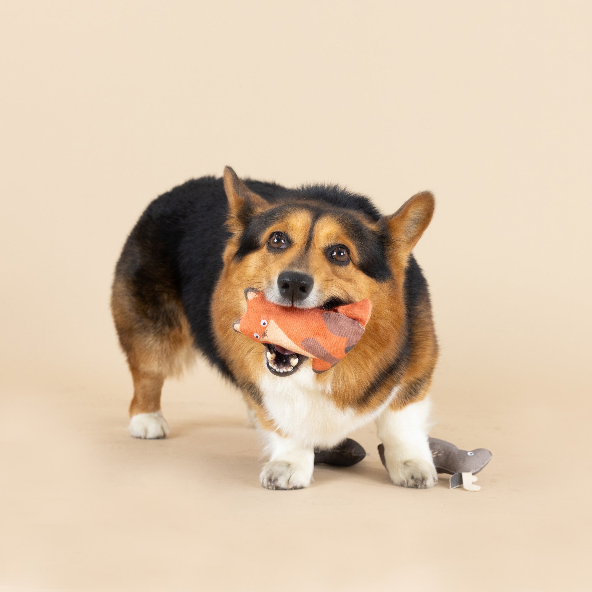 Forest Friends 3pc Mini Canvas Dog Toy Set