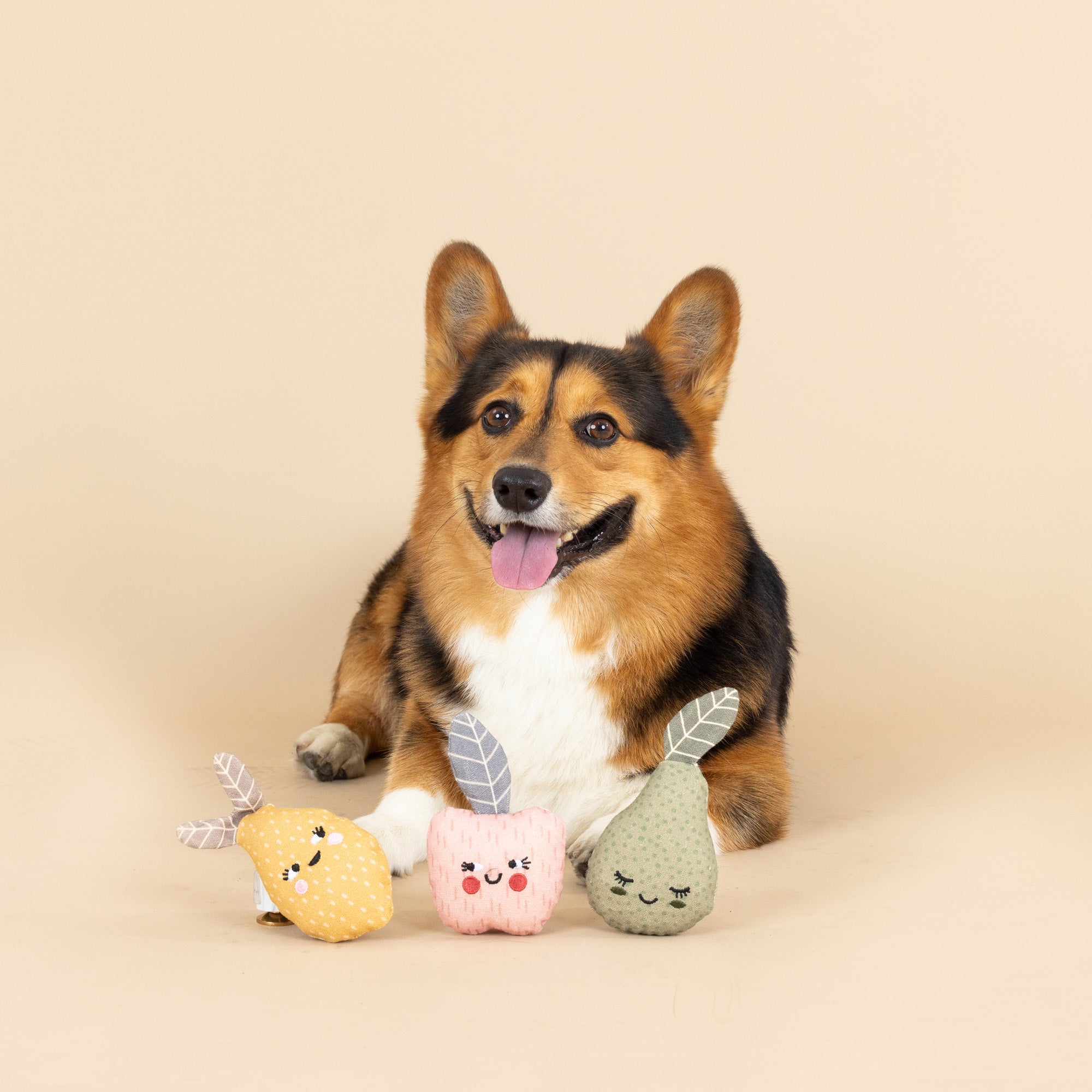Freshly Picked 3pc Mini Canvas Dog Toy Set
