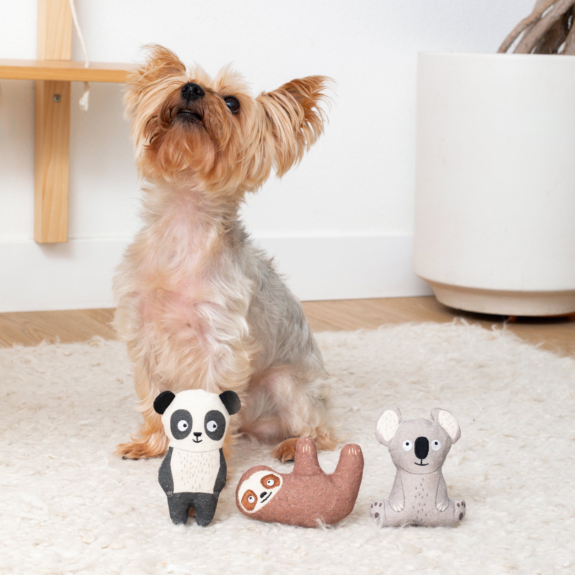 Cuddle Buddies 3pc Mini Canvas Dog Toy Set
