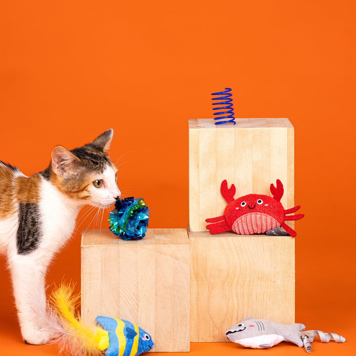 Water You Waiting For? 6pc Cat Toy Set