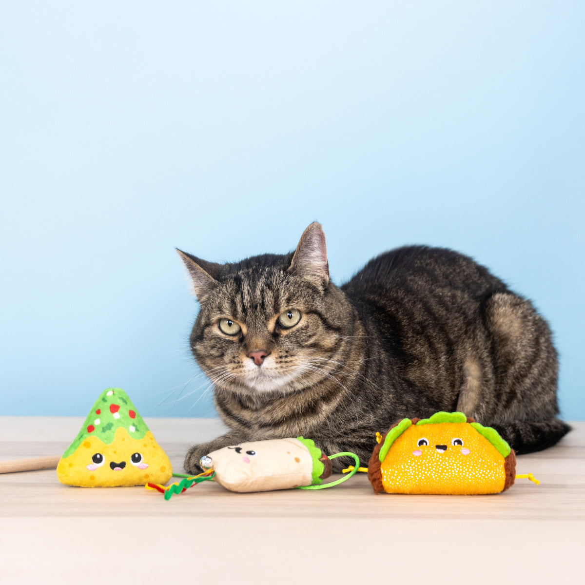 Feeling Like A Guac-Star 3pc Teaser Cat Toy Set